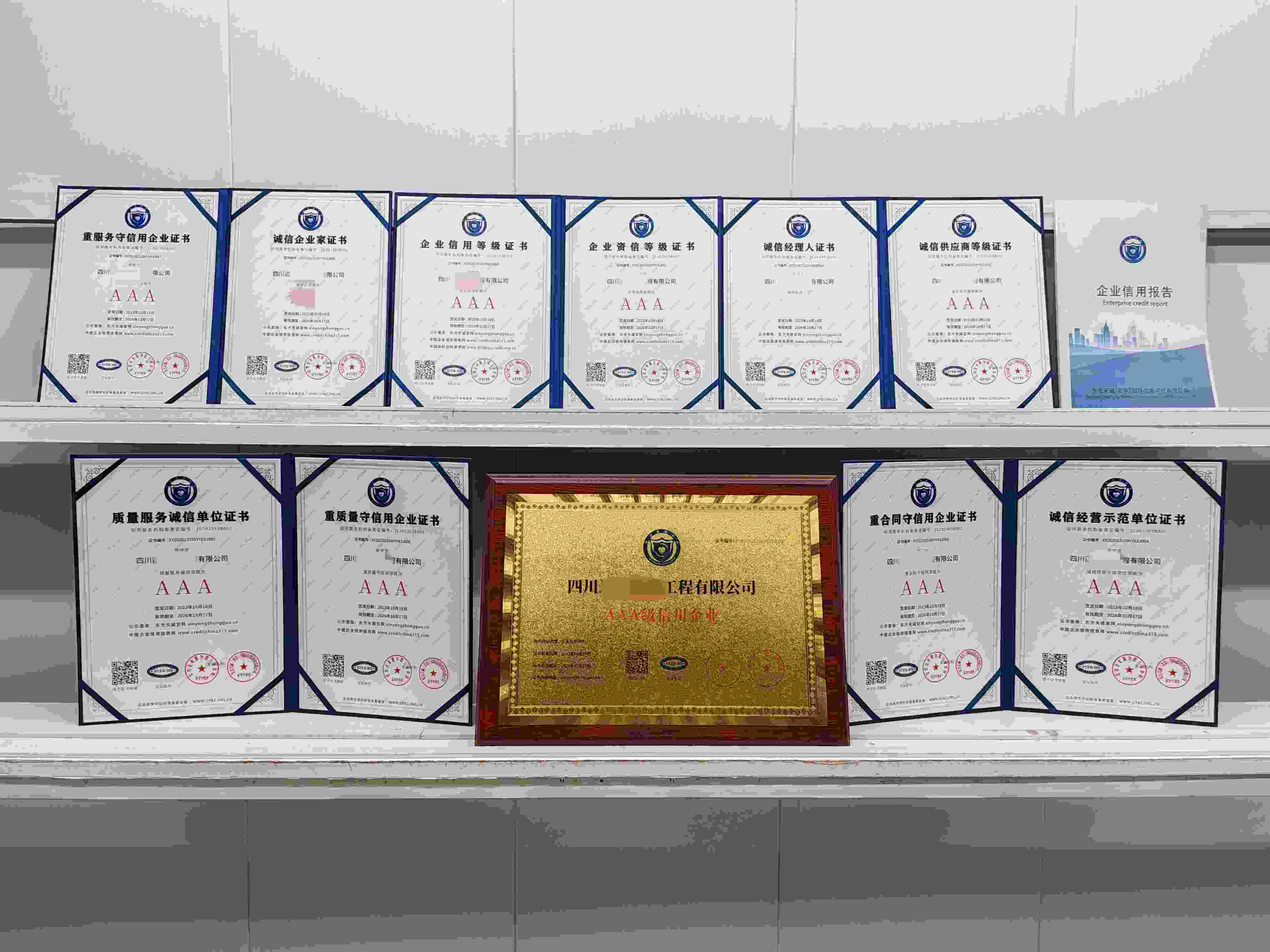 四川迈高电梯工程有限公司.jpg