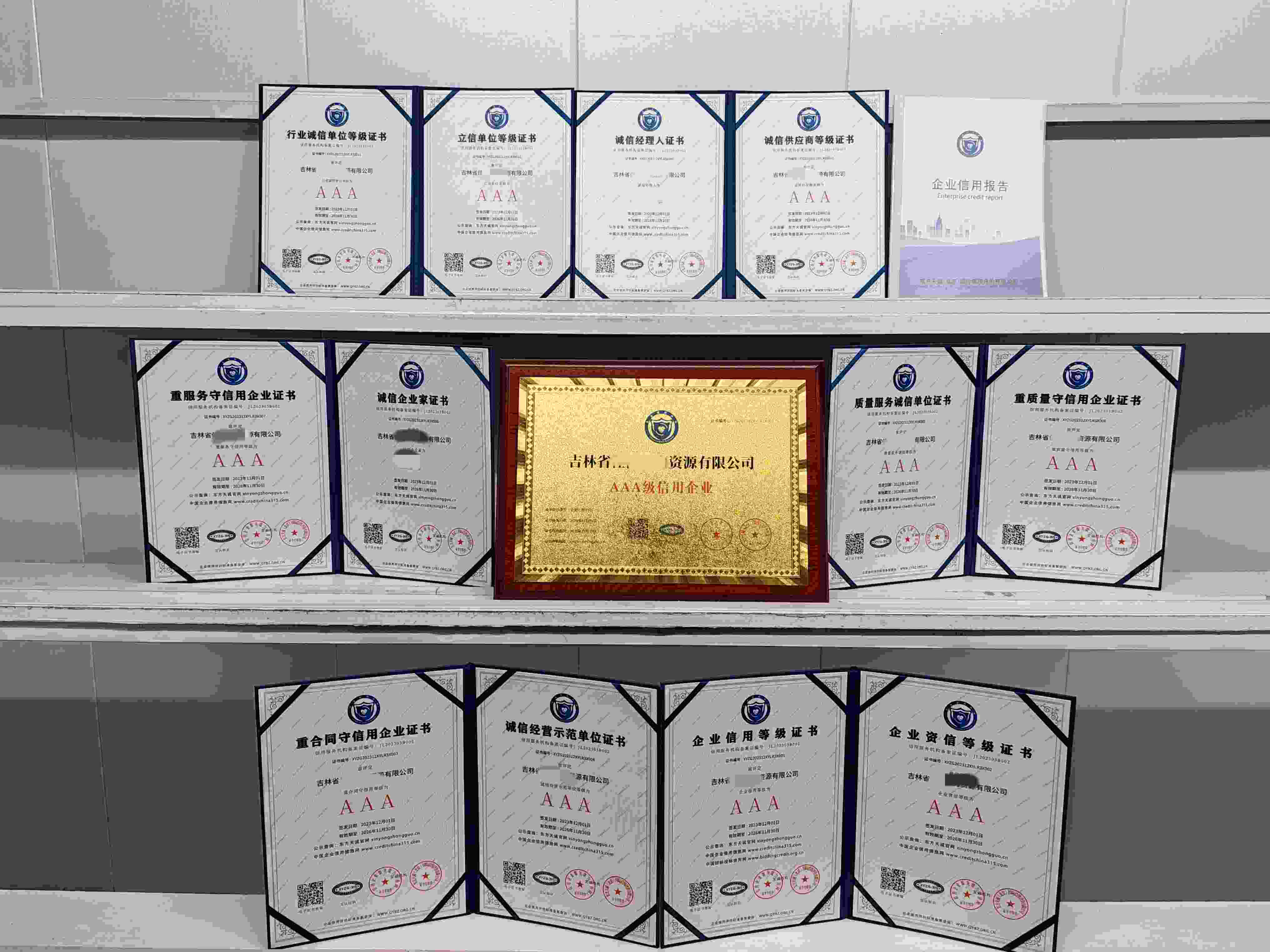 吉林省佳浩人力资源有限公司.jpg