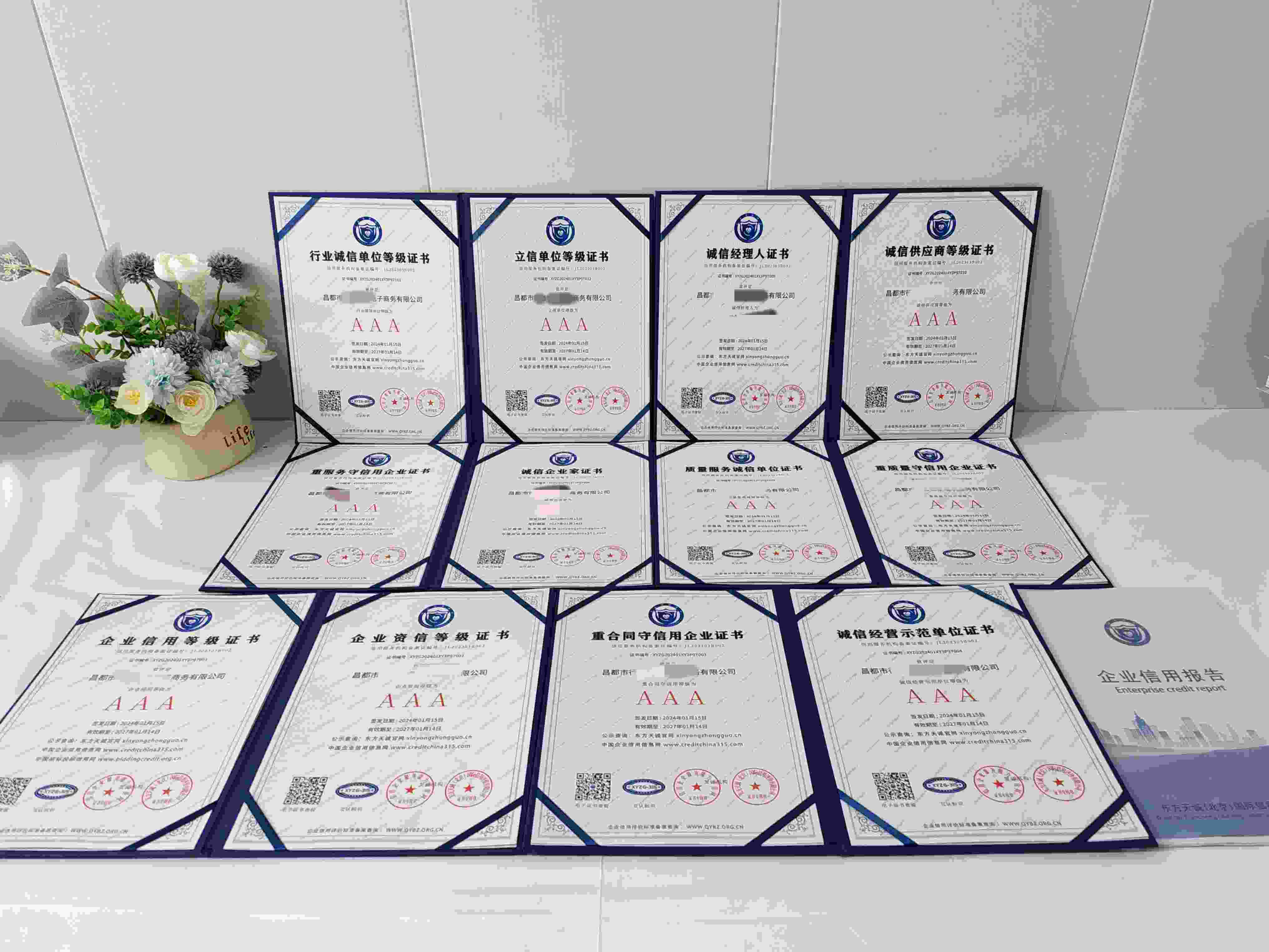 昌都市行者世家电子商务有限公司.jpg