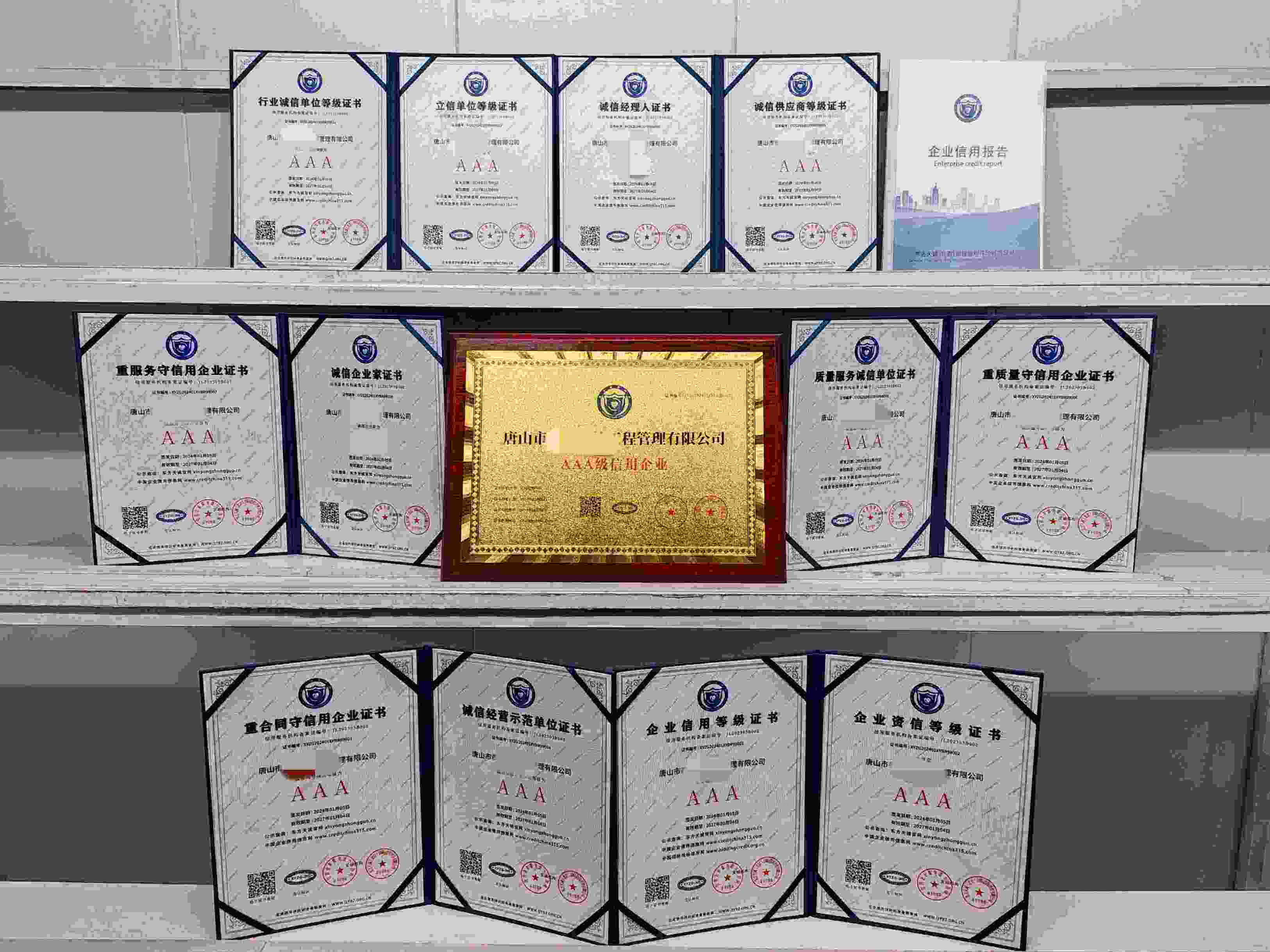 唐山市泰岳建筑工程管理有限公司.jpg