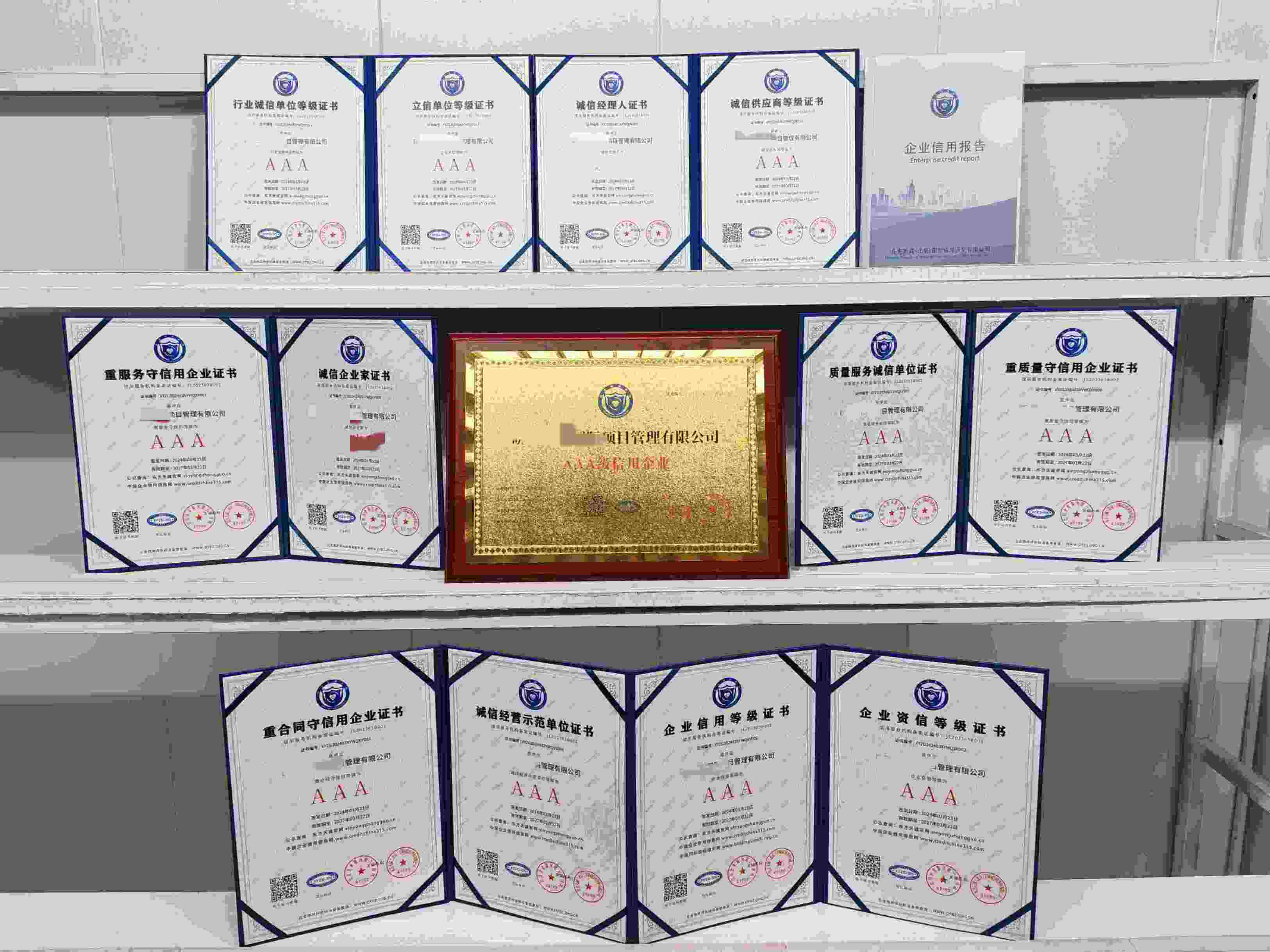 晓利臻祥国际项目管理有限公司.jpg