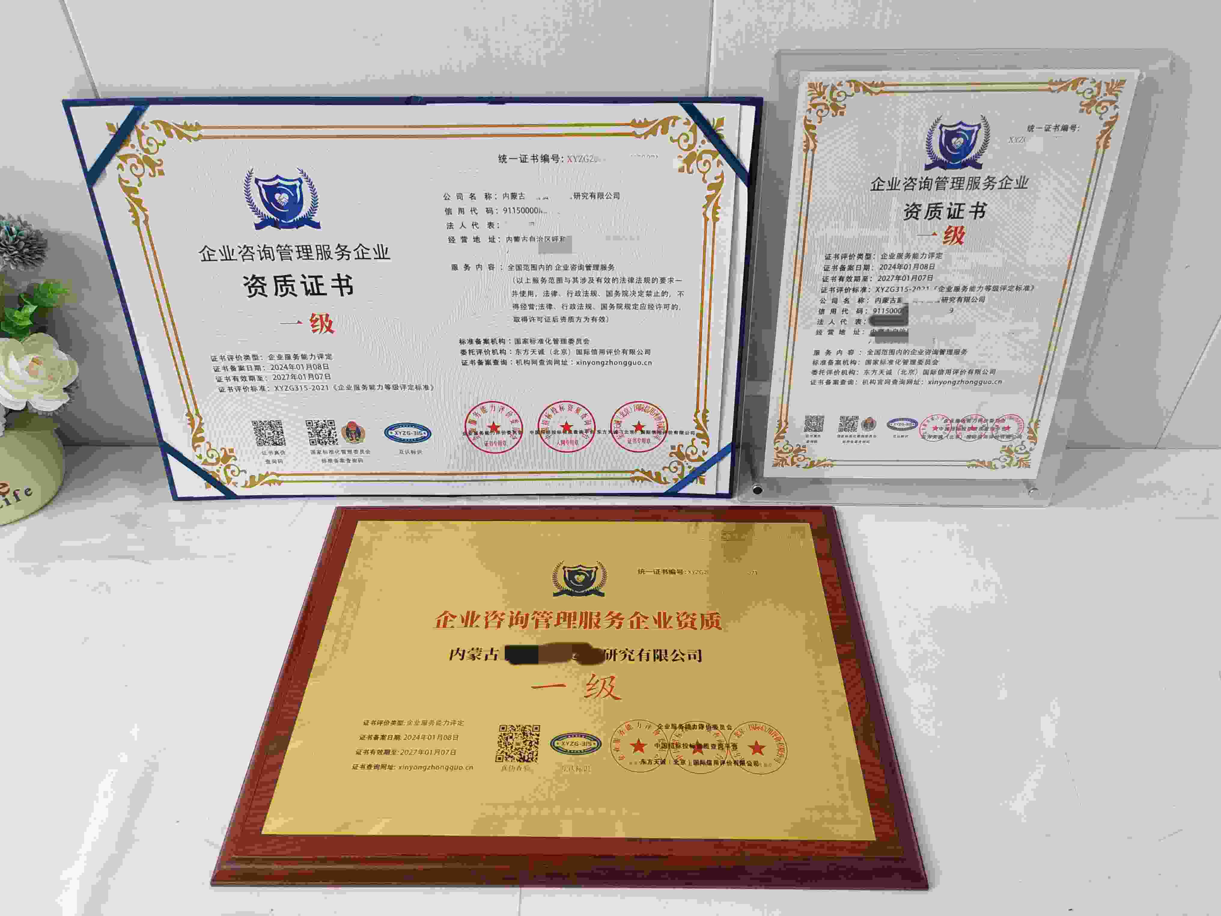 内蒙古蒙智资本运营研究有限公司.jpg