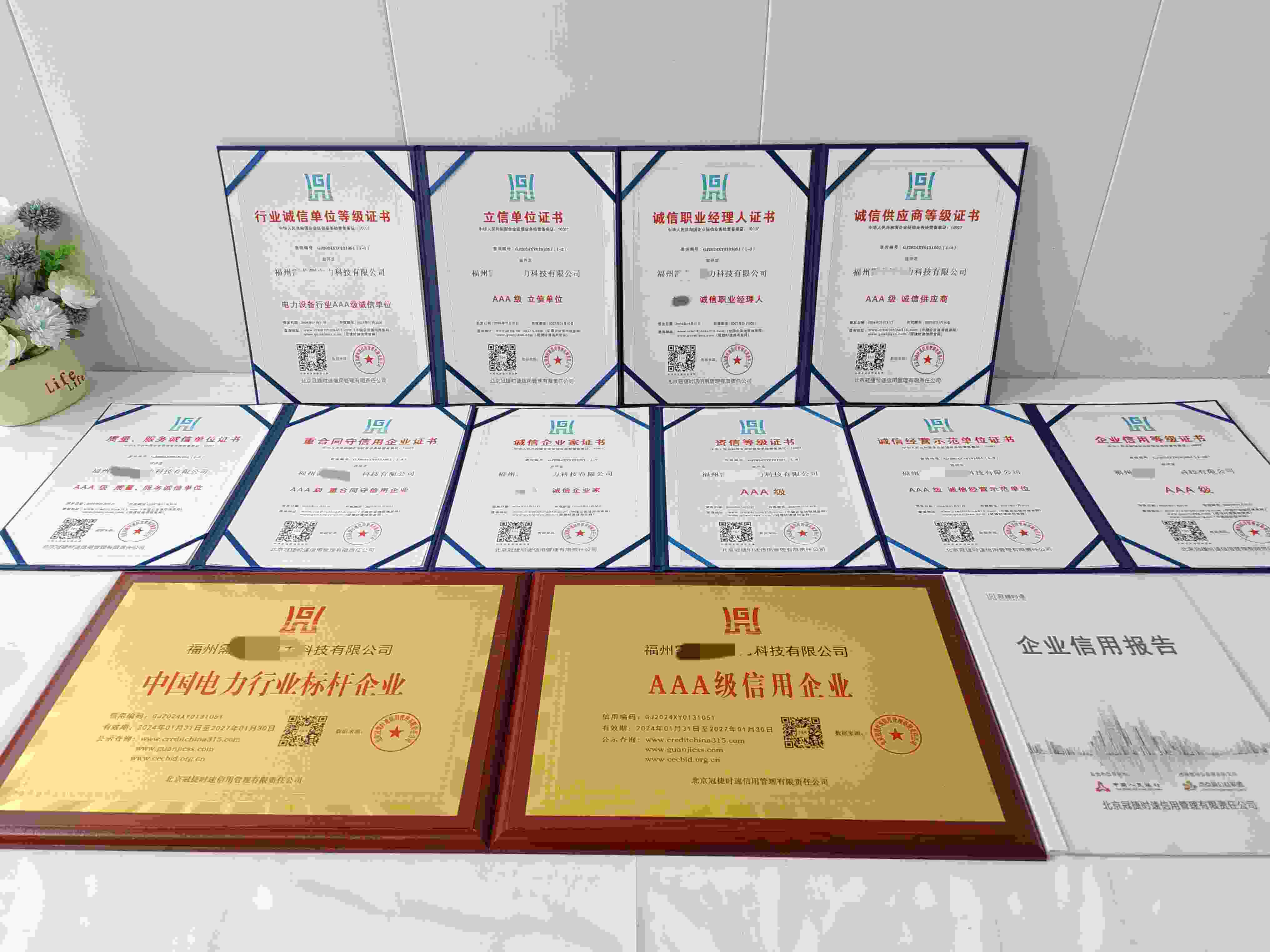 福州需求侧电力科技有限公司.jpg