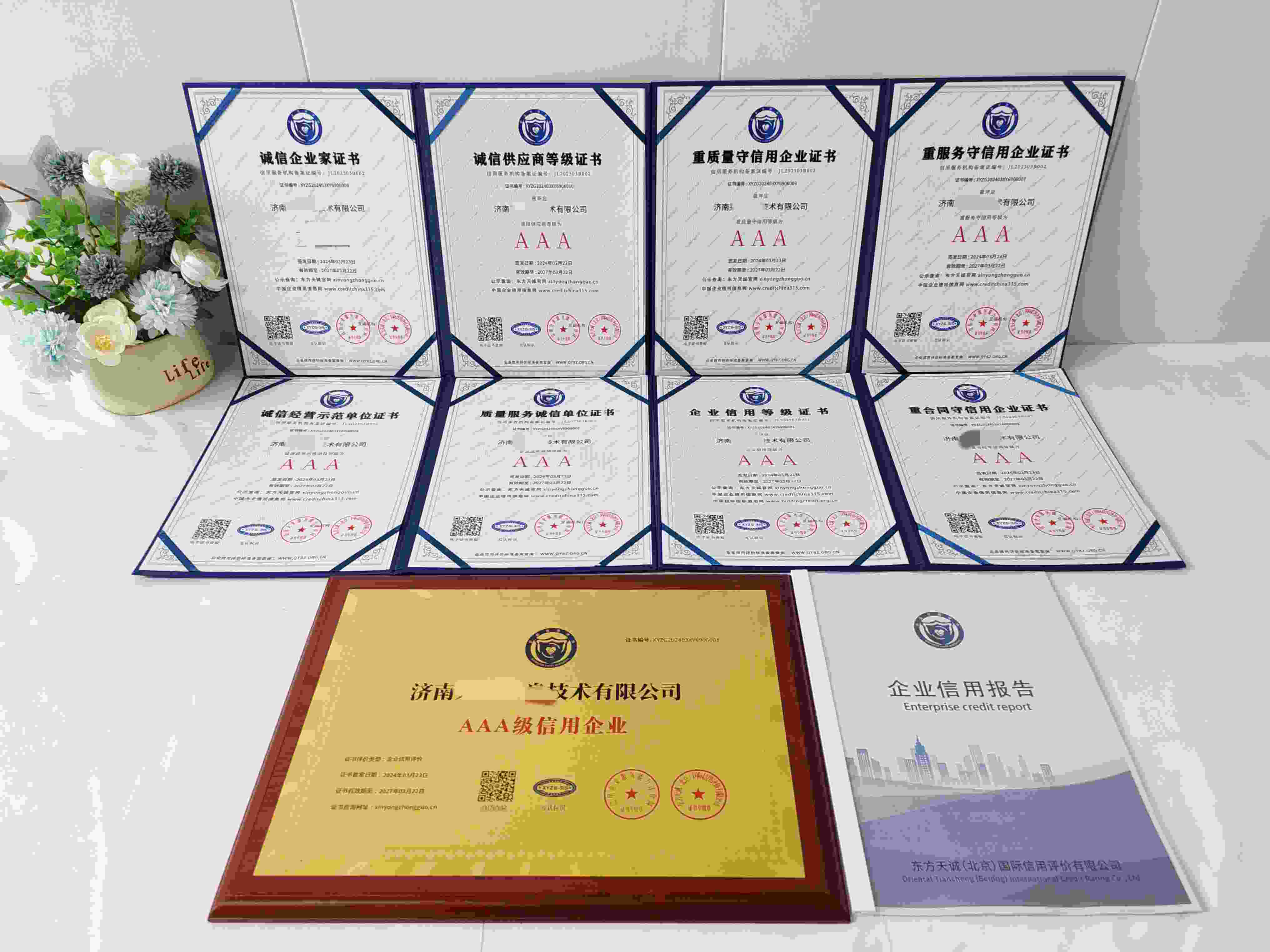 济南莱尼信息技术有限公司.jpg
