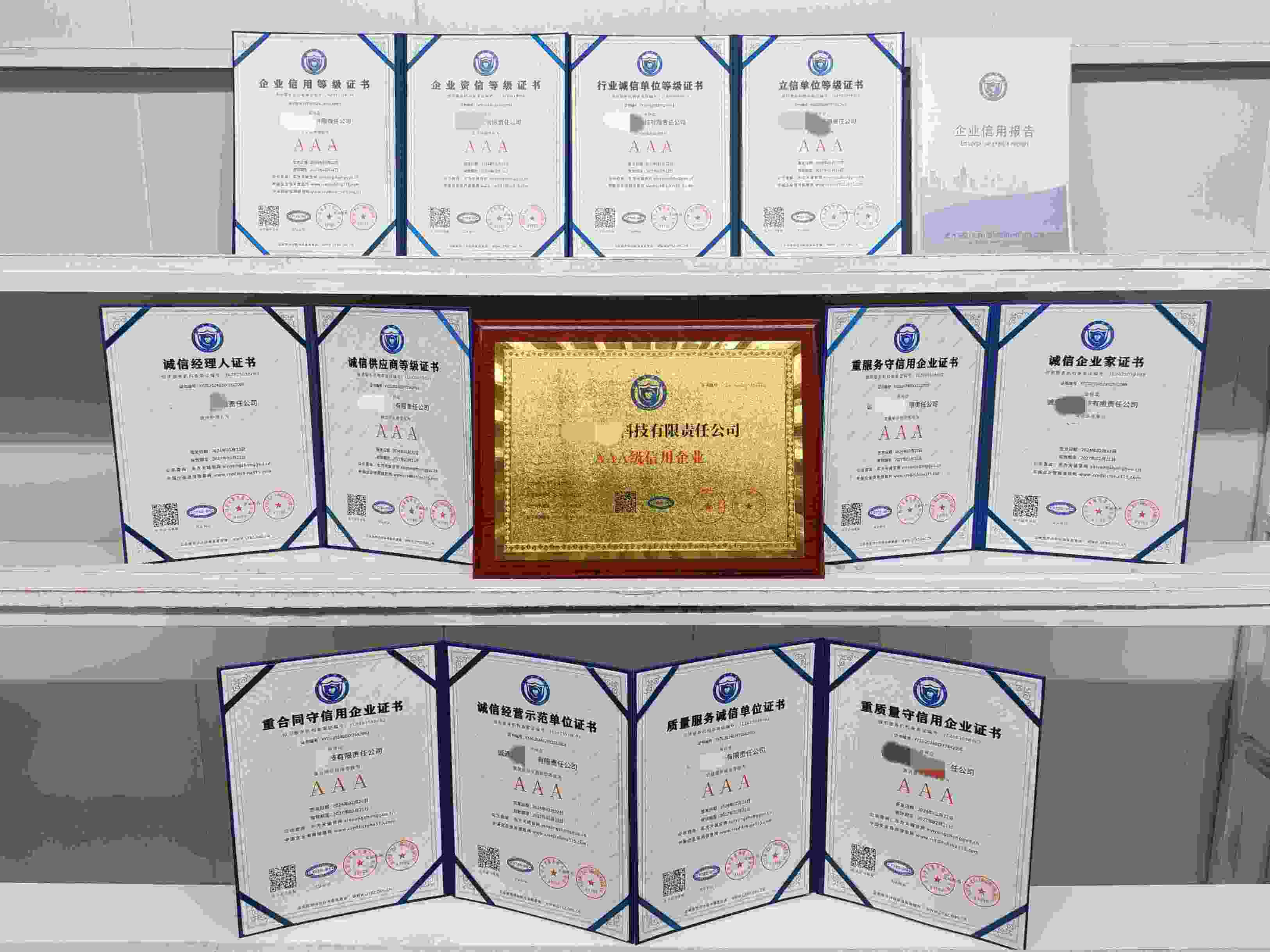 诚通数字科技有限责任公司.jpg