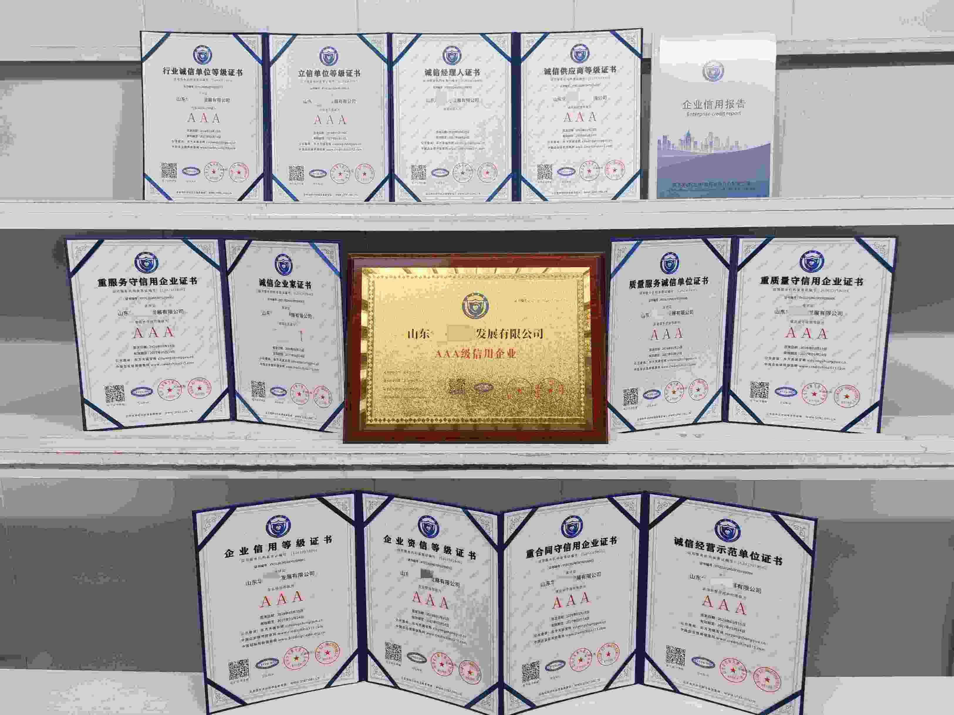 山东华海人才发展有限公司.jpg