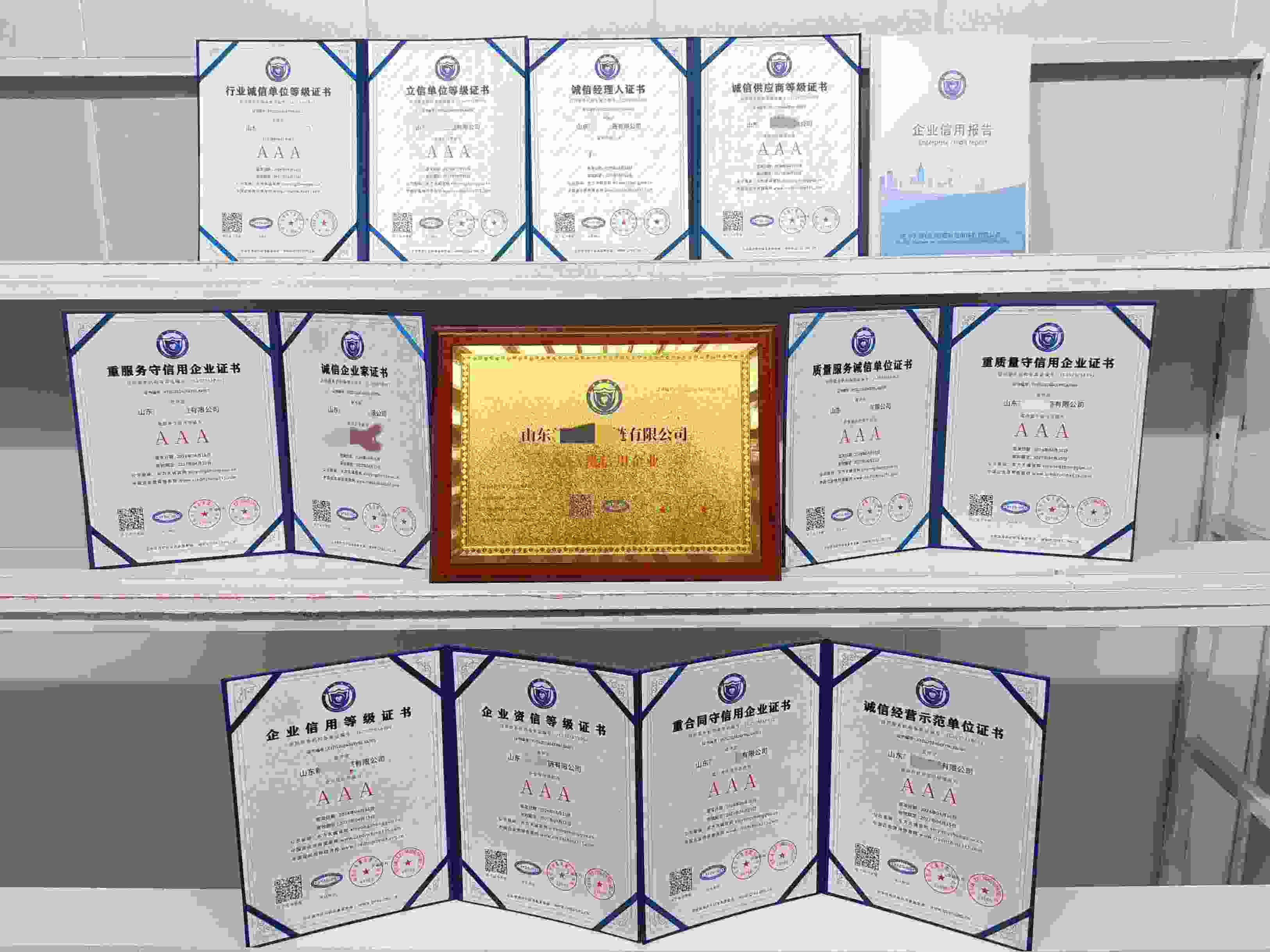 山东新晟供应链有限公司.jpg