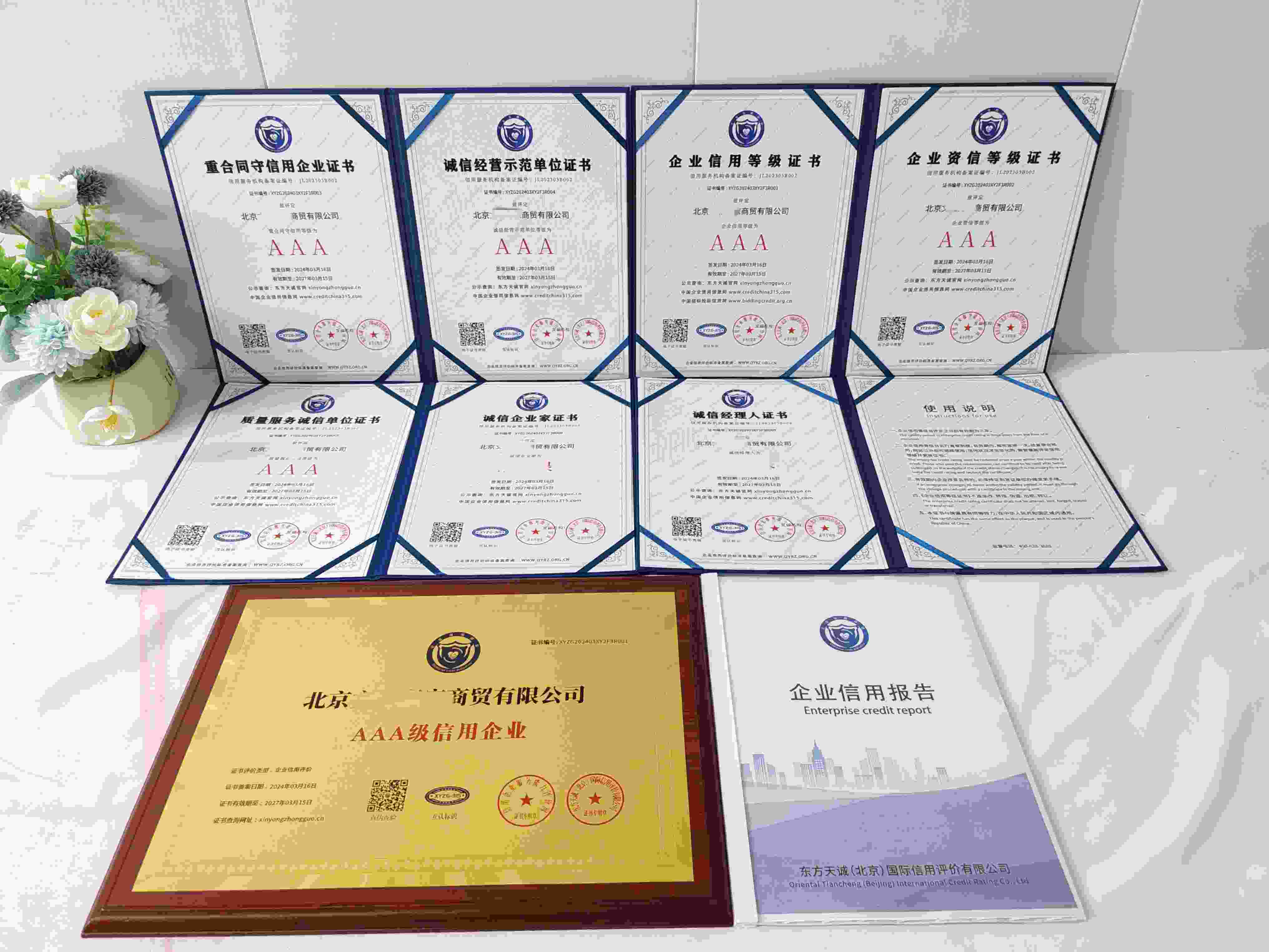 北京文诚亮家商贸有限公司.jpg