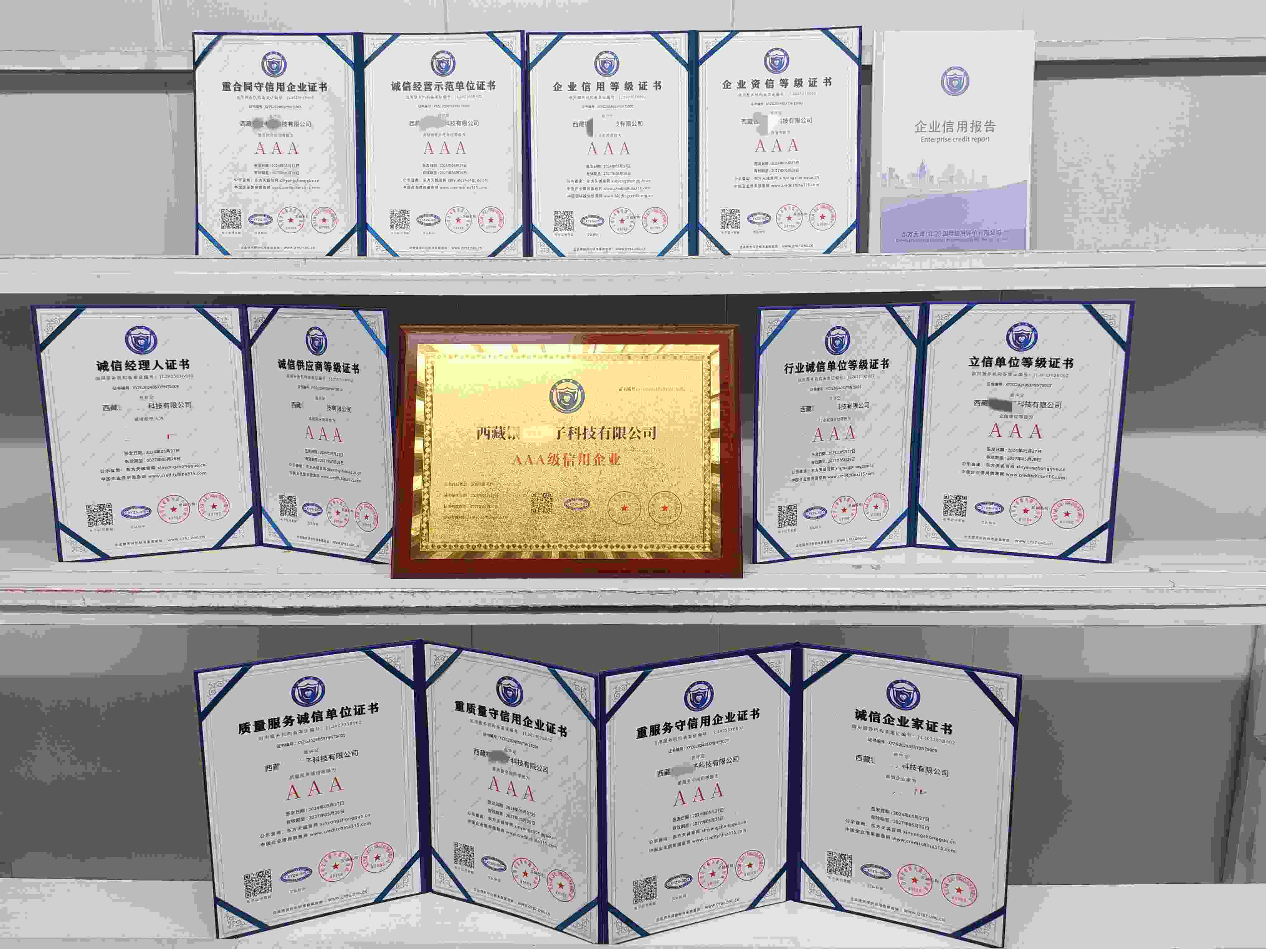 西藏银座电子科技有限公司.jpg