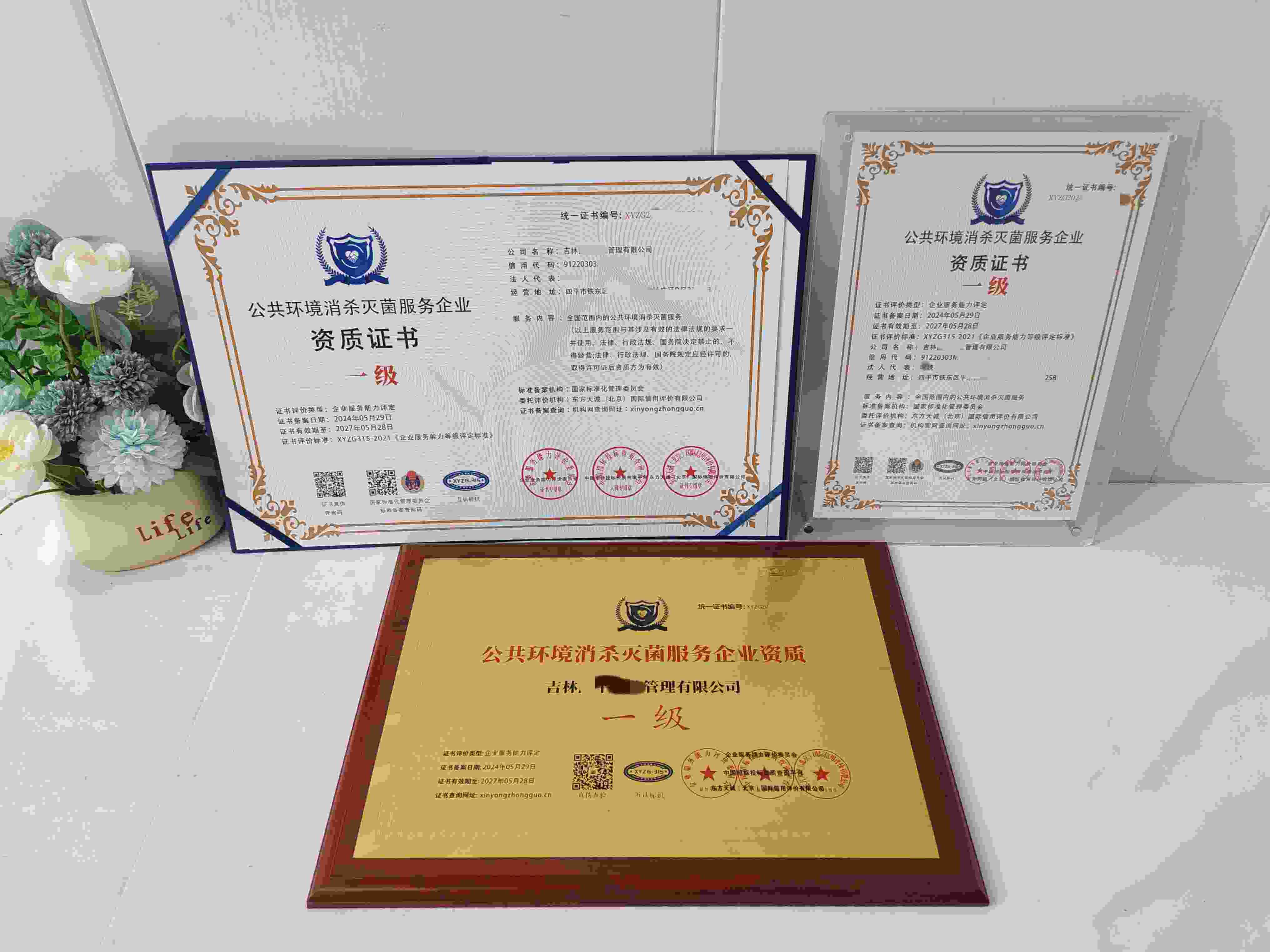 吉林国平物业管理有限公司-公共环境消杀灭菌服务企业资质.jpg