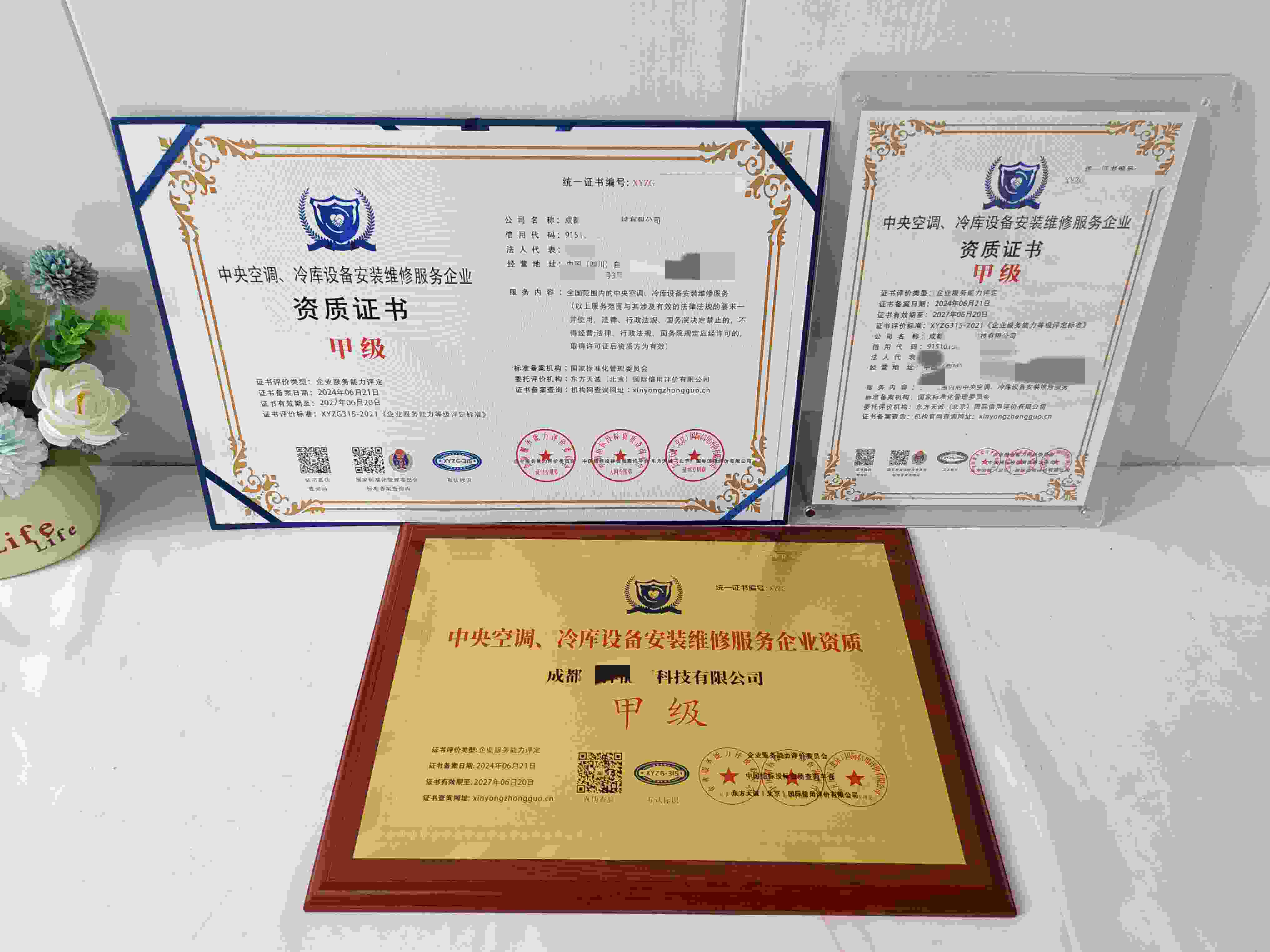 成都唯洋能源科技有限公司-中央空调、冷库设备安装维修服务企业资质.jpg
