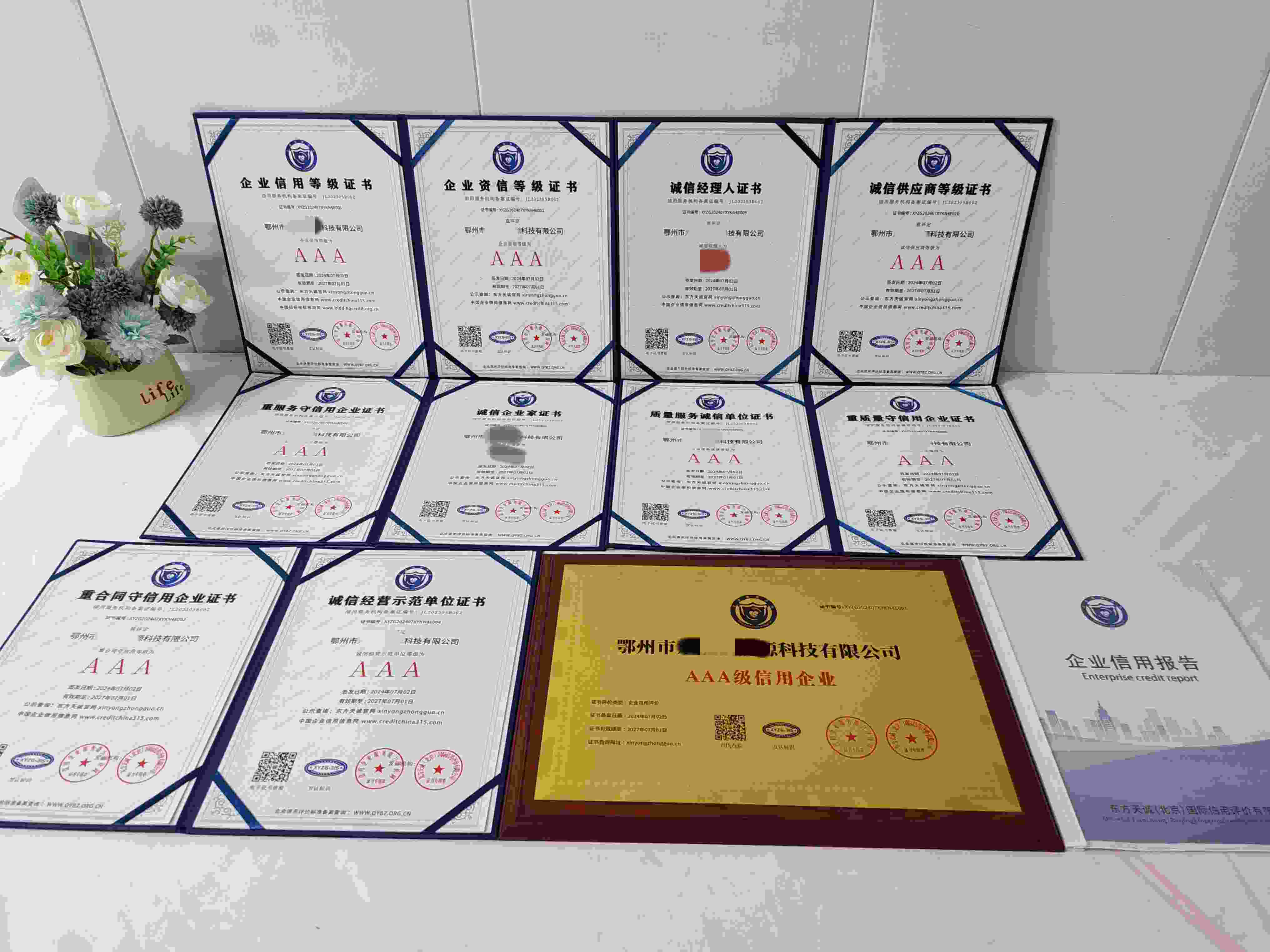 鄂州市双杰新能源科技有限公司.jpg