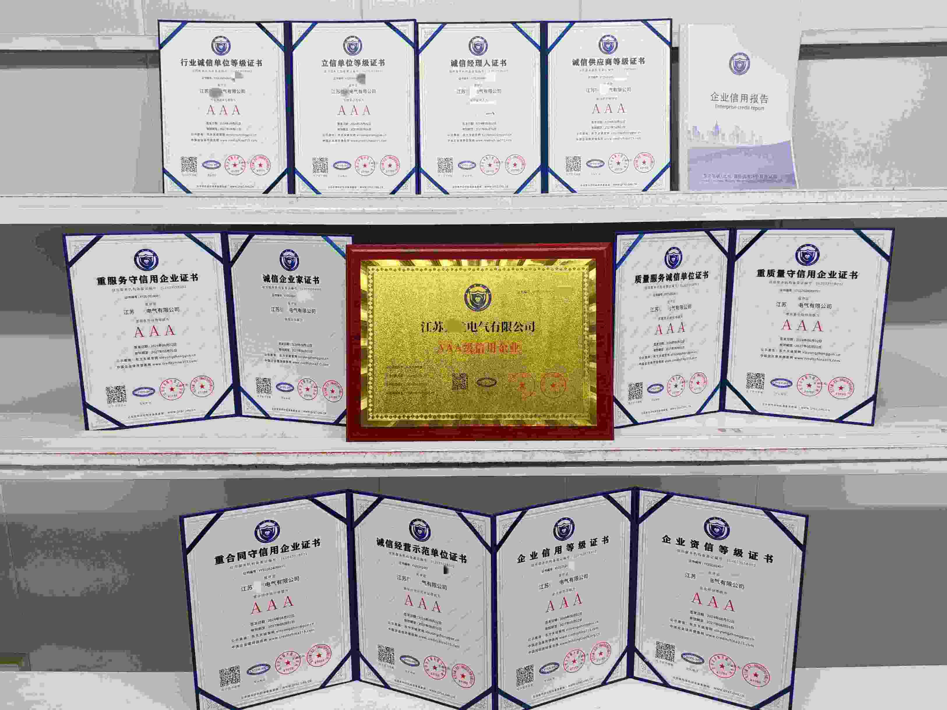 江苏强龙电气有限公司.jpg