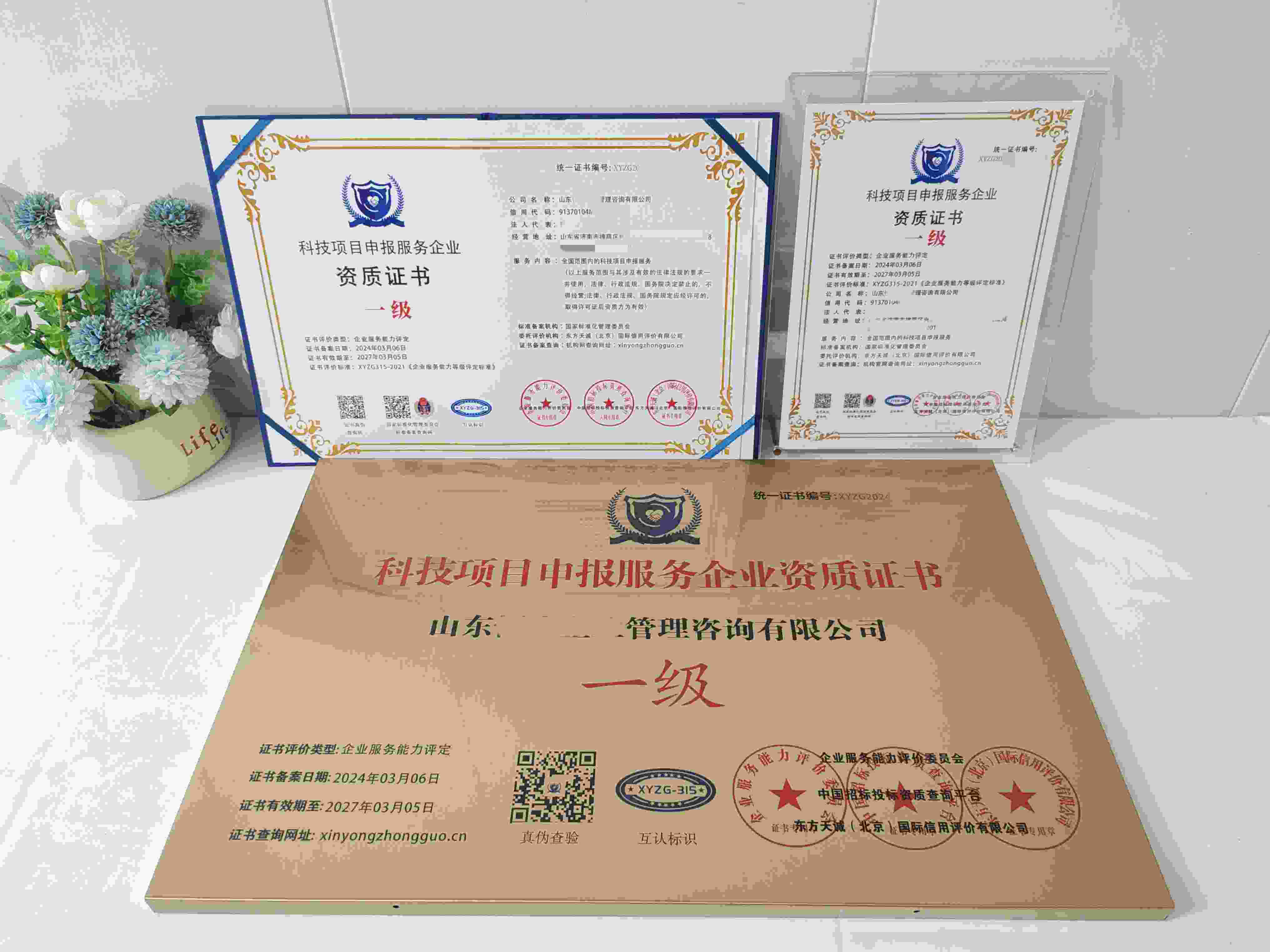 山东恒成企业管理咨询有限公司-科技项目申报服务企业资质证书.jpg