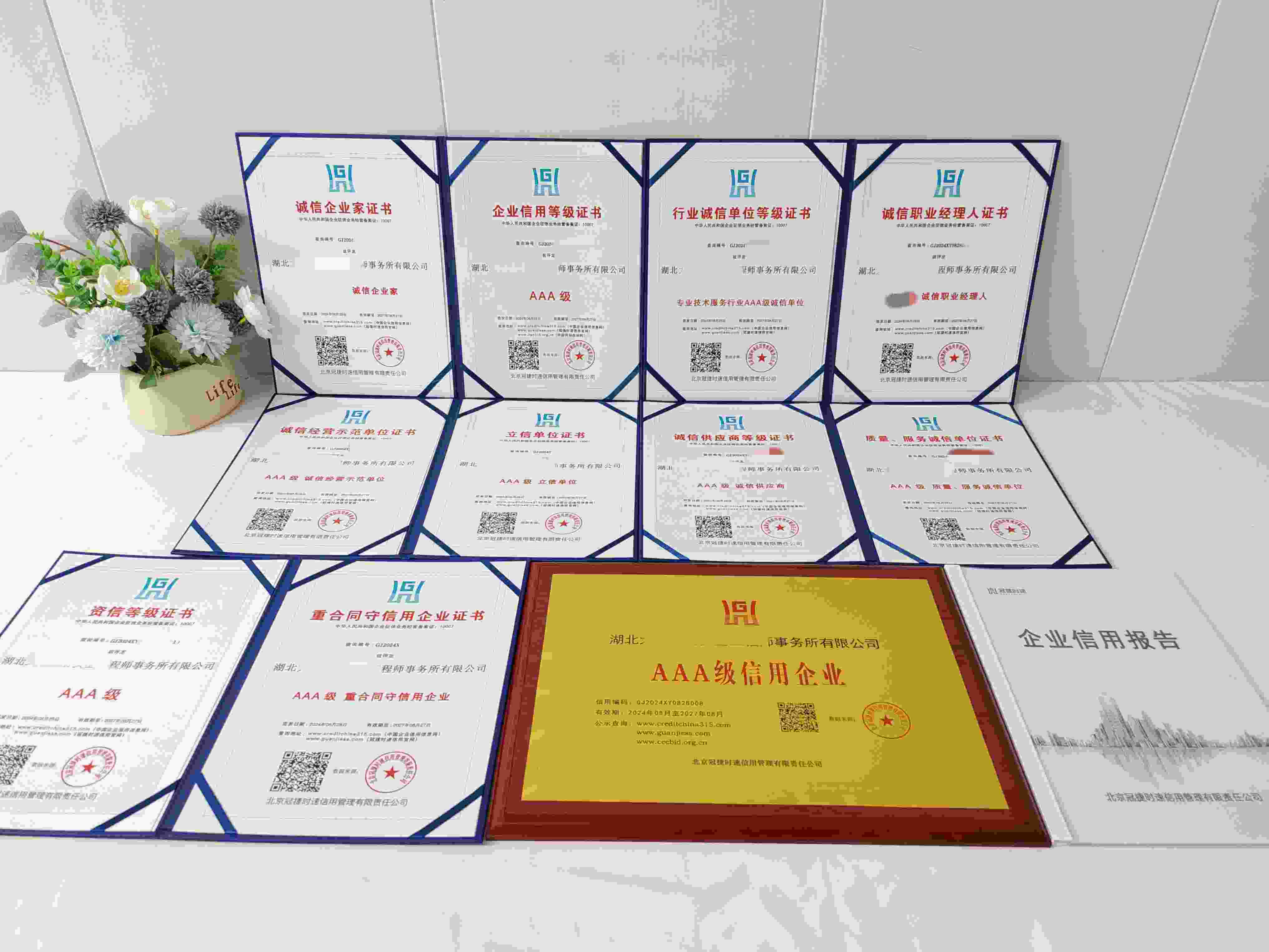 湖北大楚注册安全工程师事务所有限公司.jpg