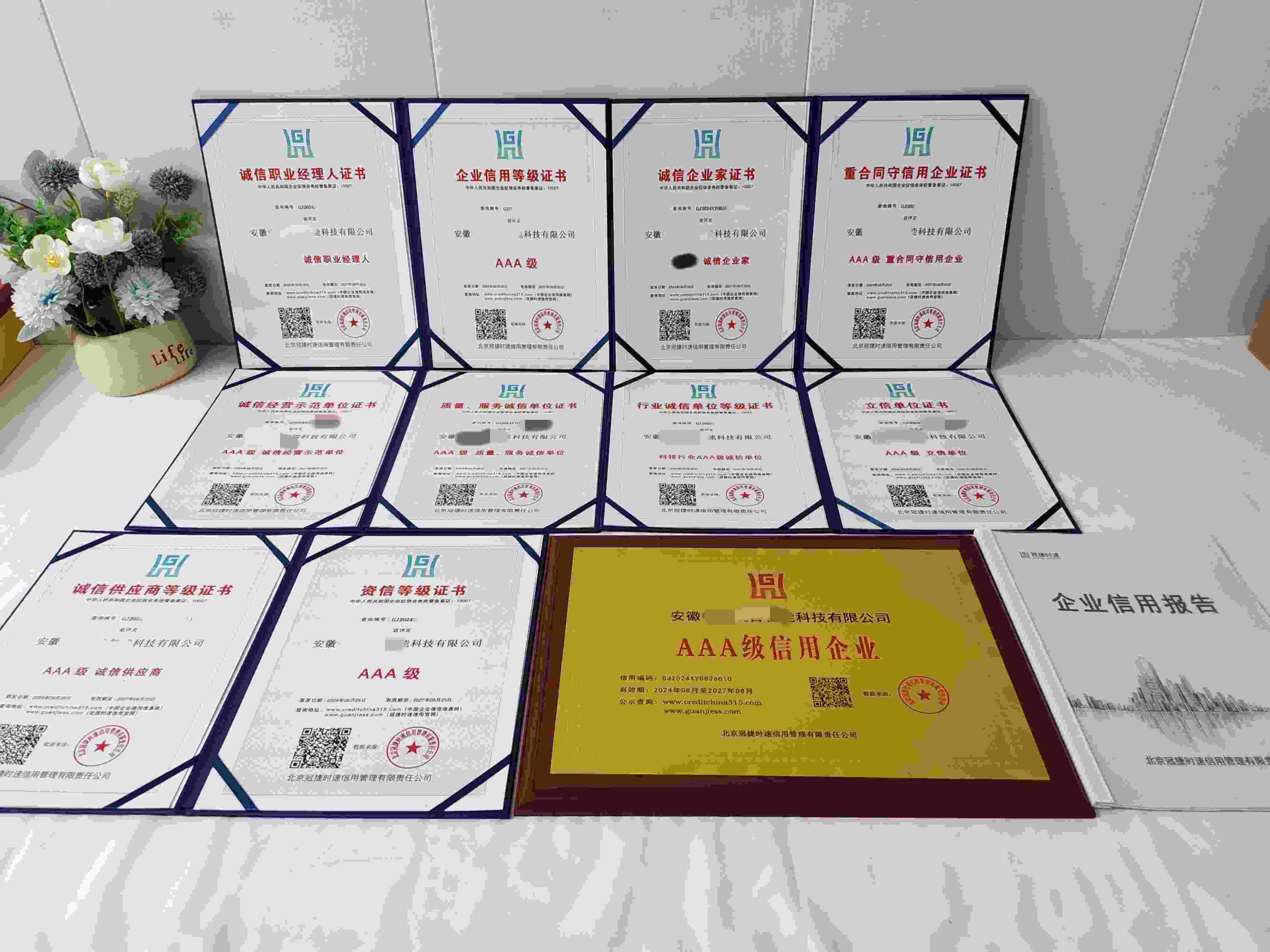 安徽中科吴音智能科技有限公司.jpg
