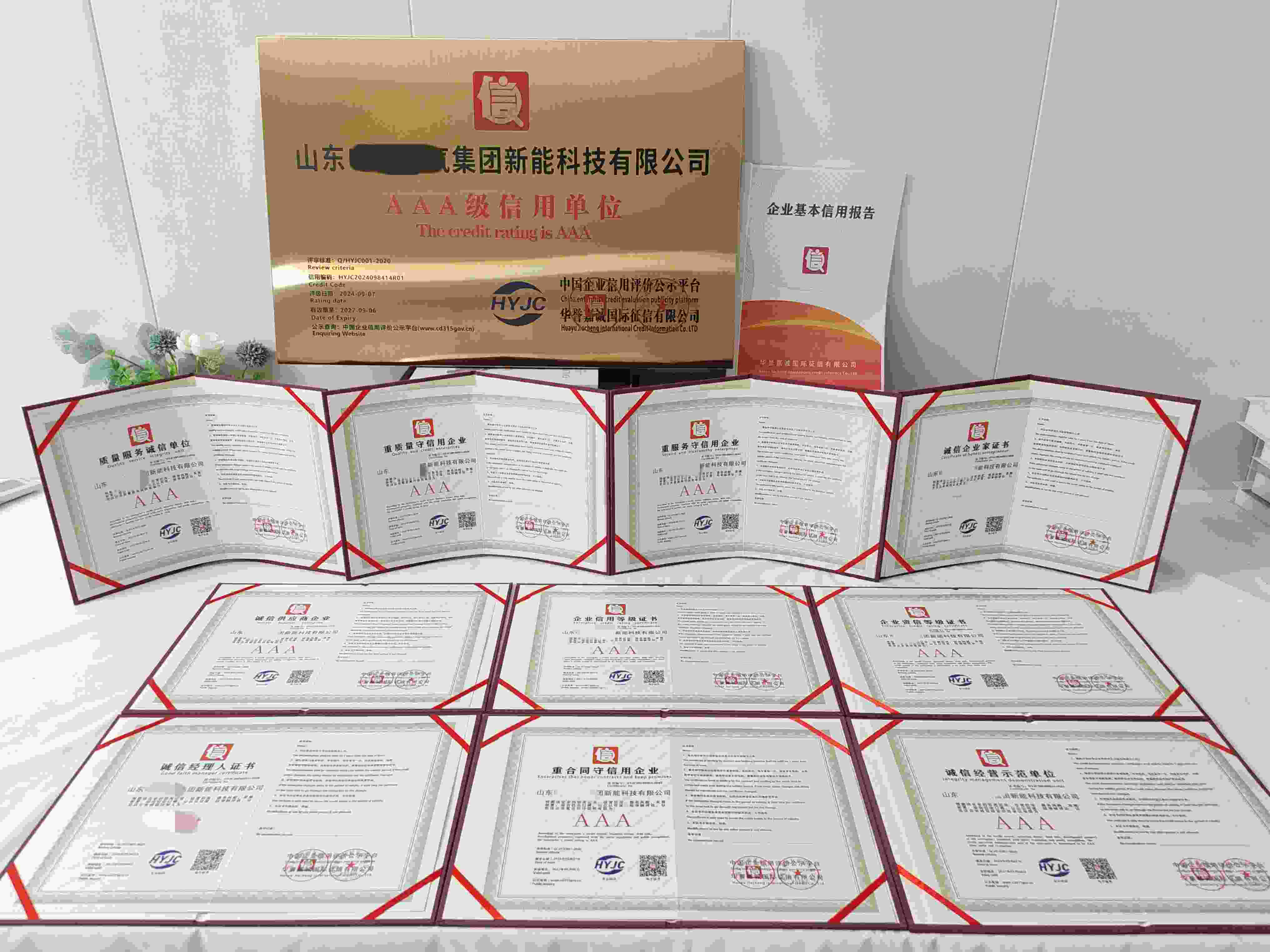 山东电工电气集团新能科技有限公司.jpg