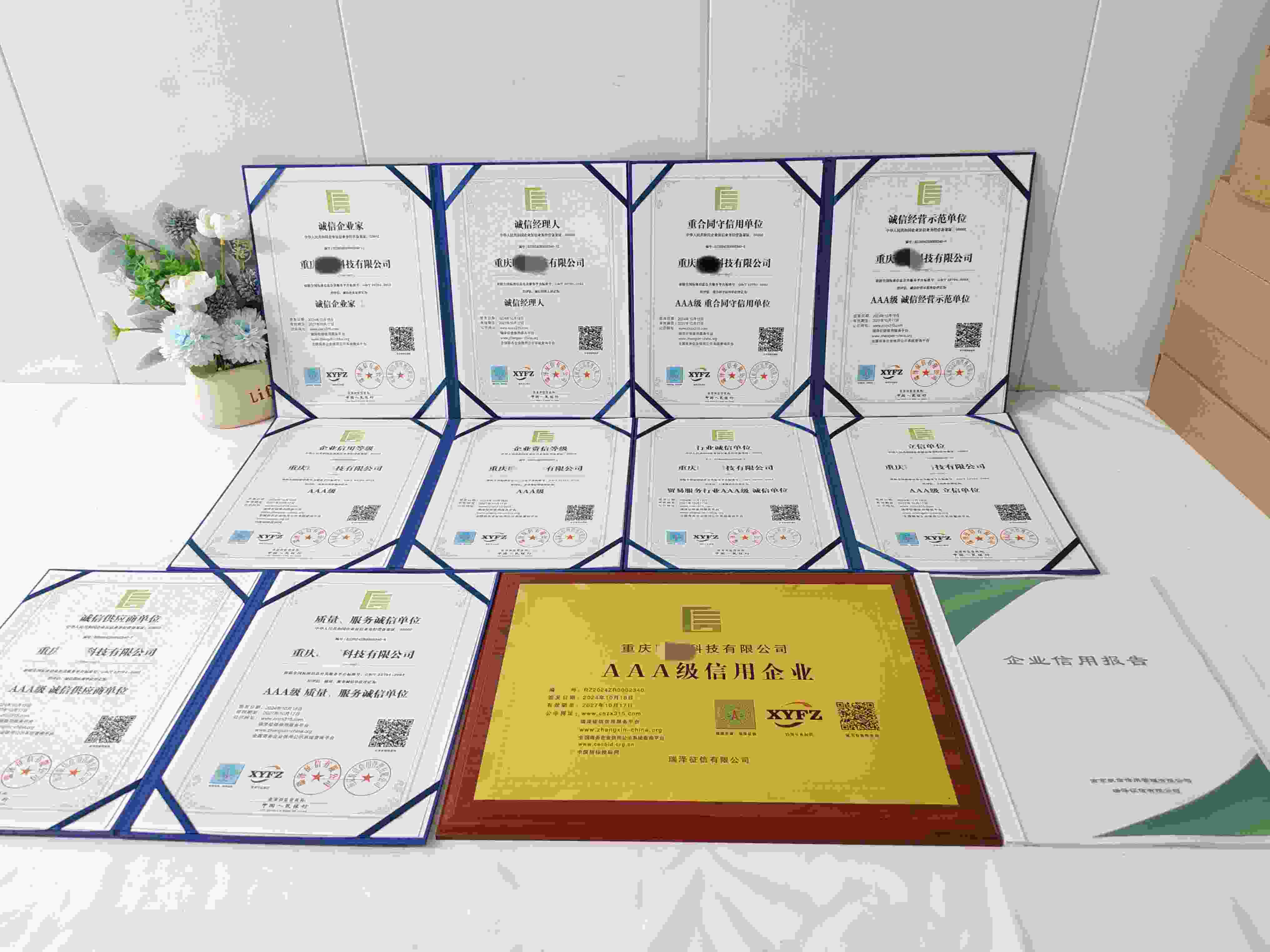 重庆明盟科技有限公司.jpg