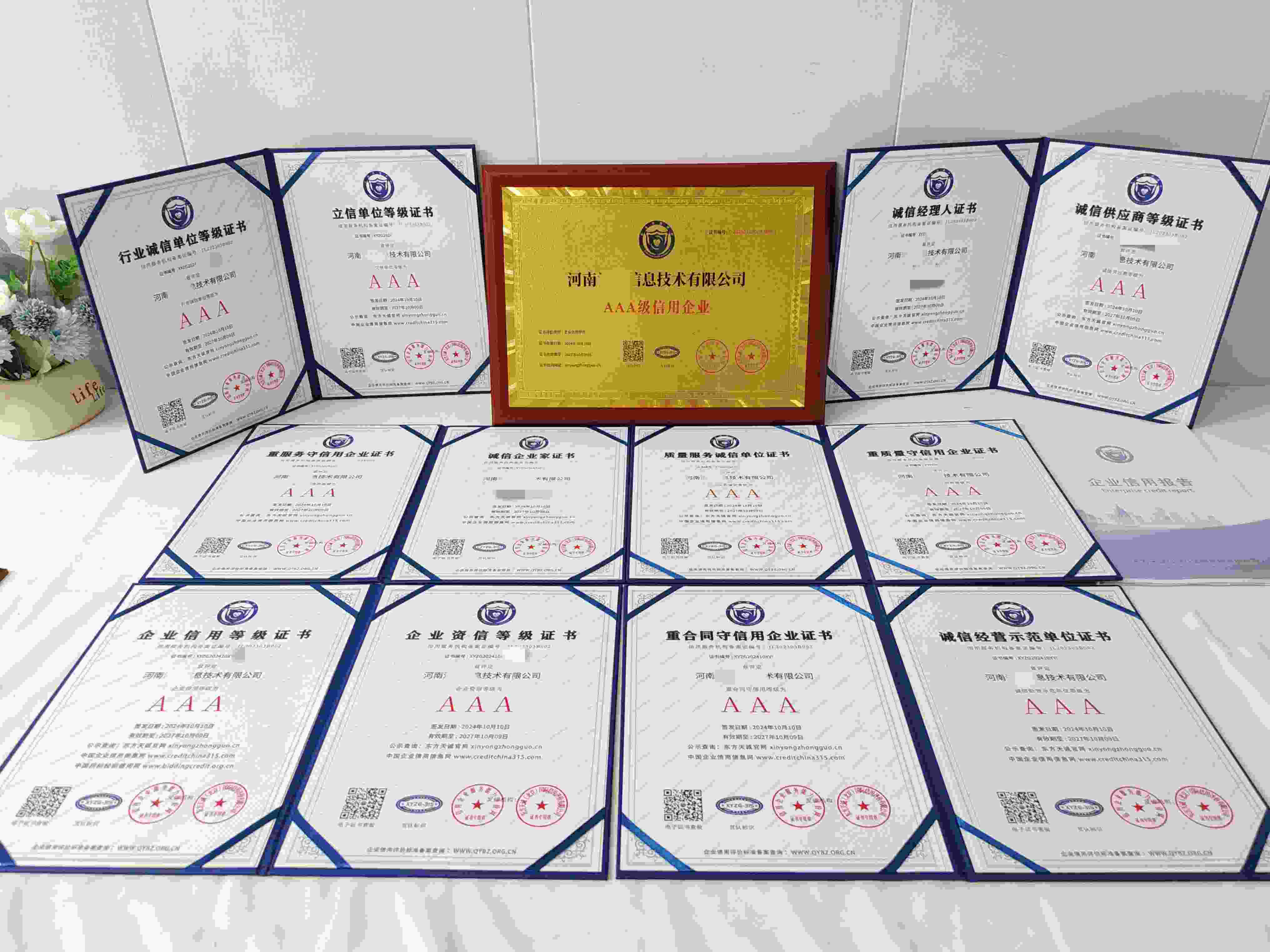 河南洁嘉信息技术有限公司.jpg