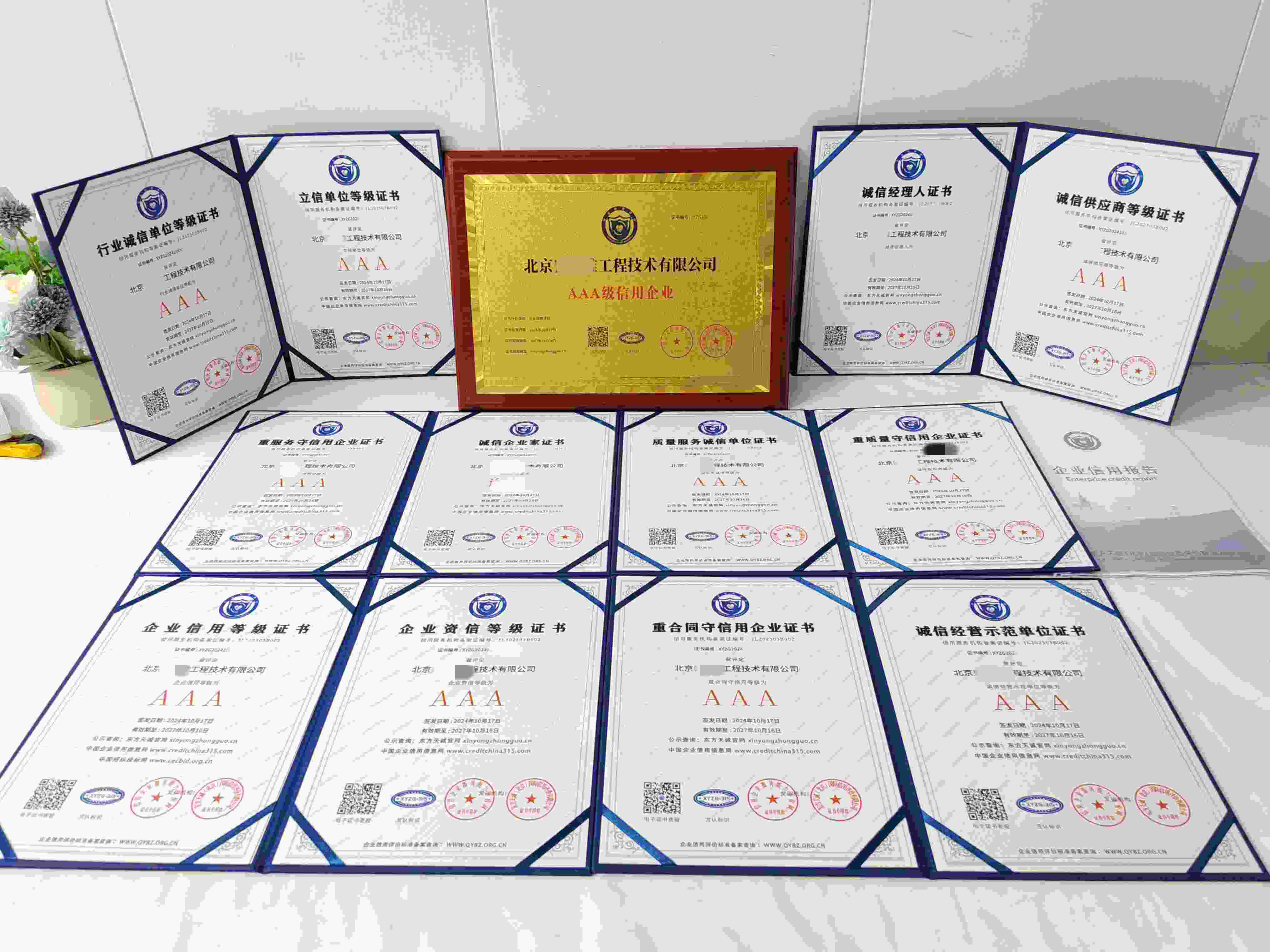 北京盛世维工程技术有限公司.jpg