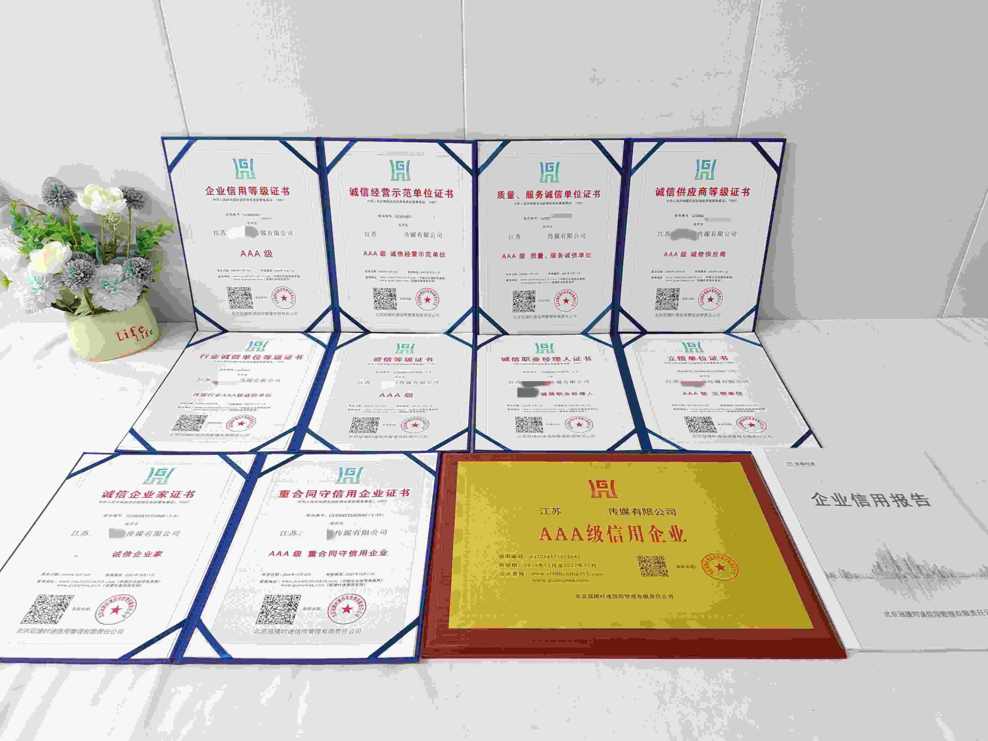 江苏新华日报传媒有限公司.jpg