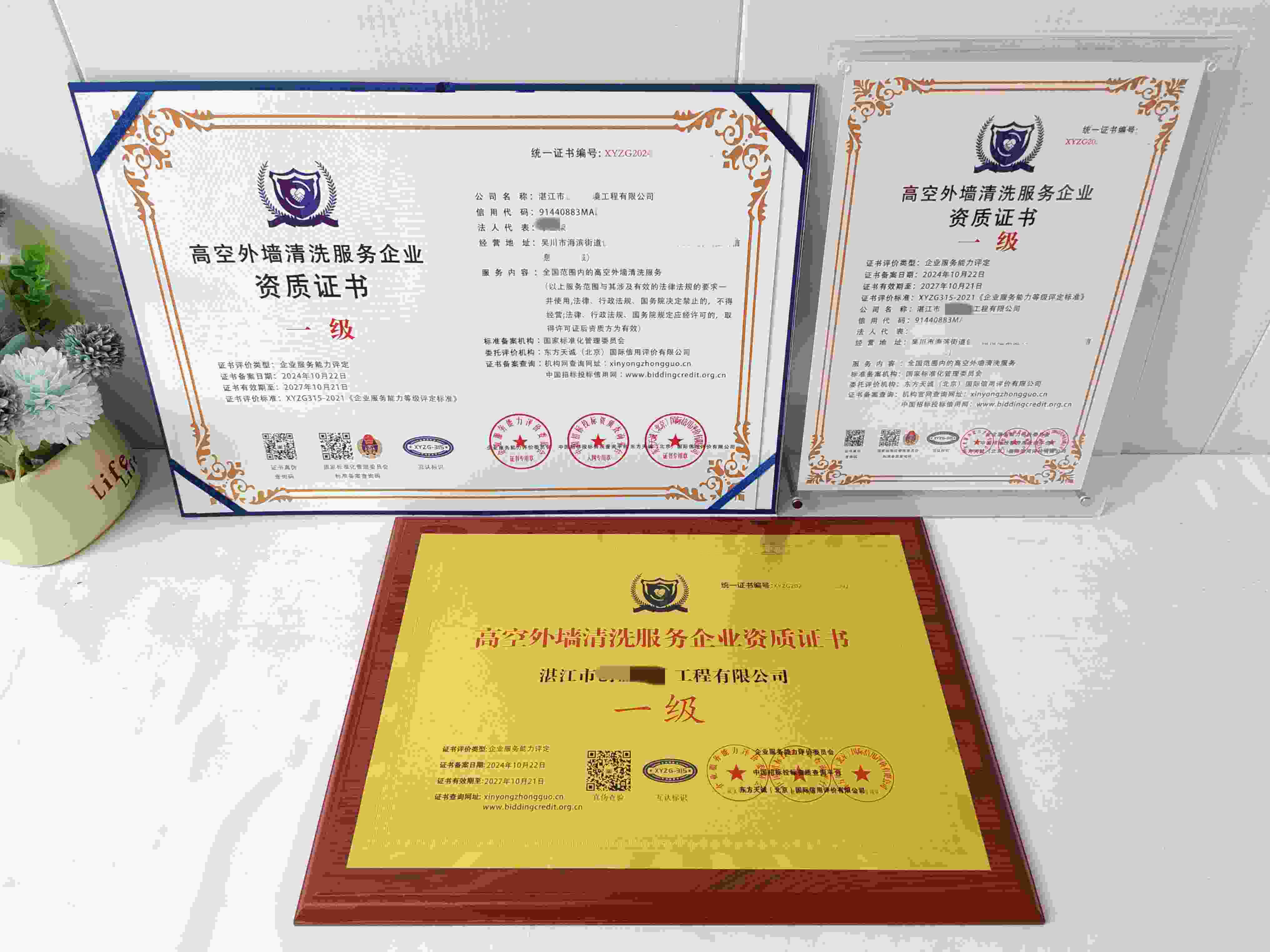湛江市创盈环境工程有限公司-高空外墙清洗服务企业资质证书.jpg