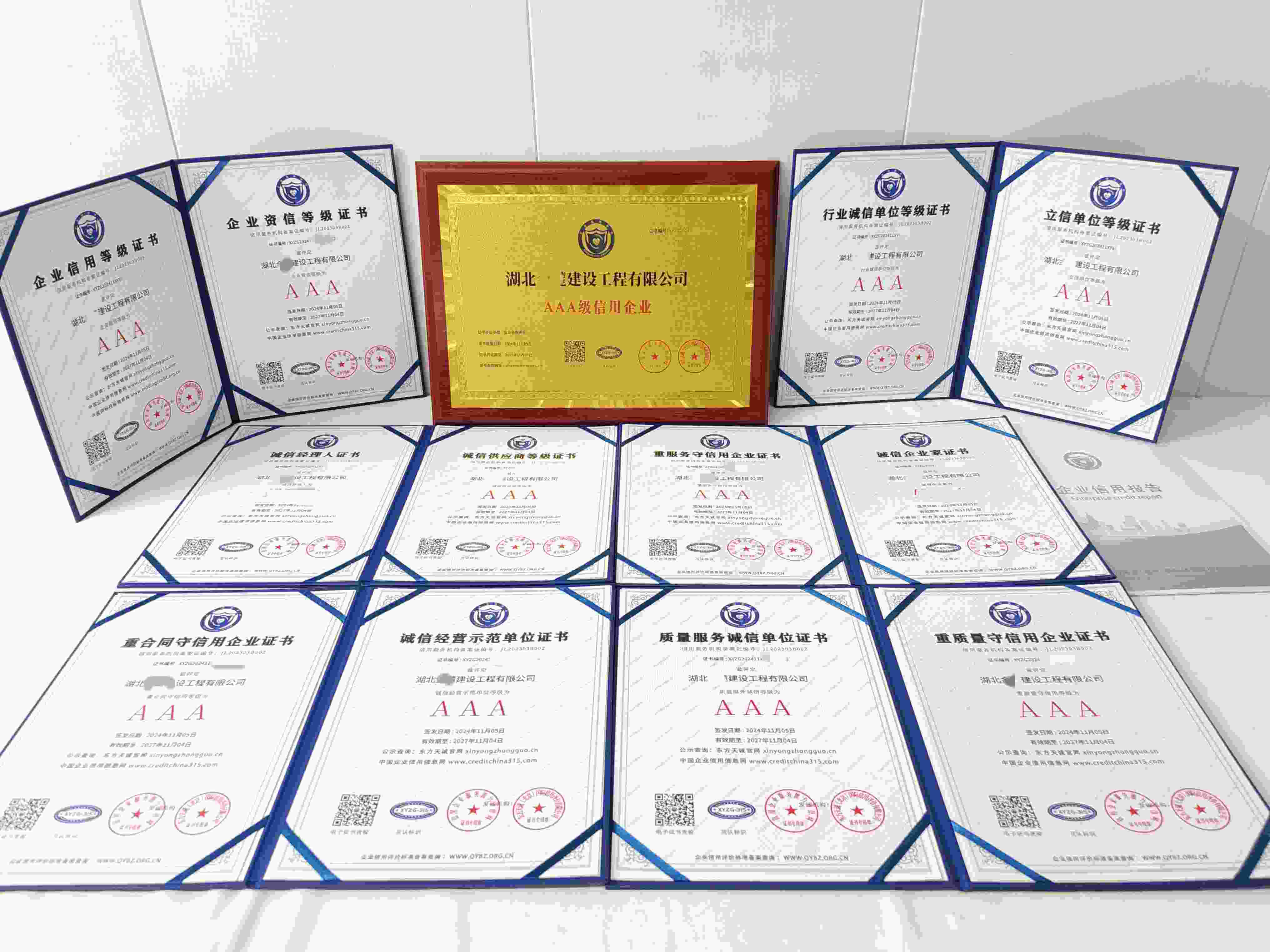湖北金麓建设工程有限公司.jpg