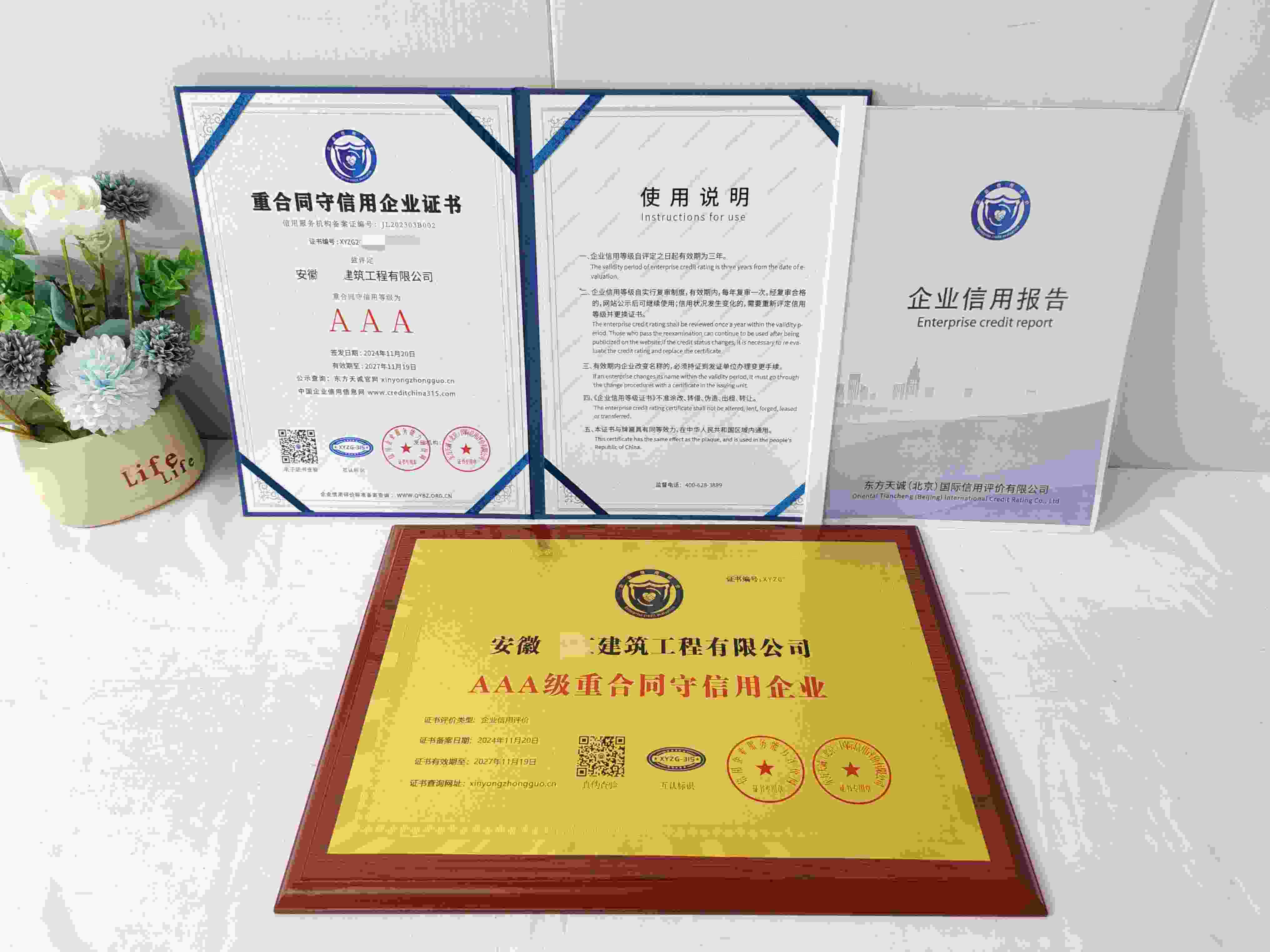 安徽伟江建筑工程有限公司.jpg