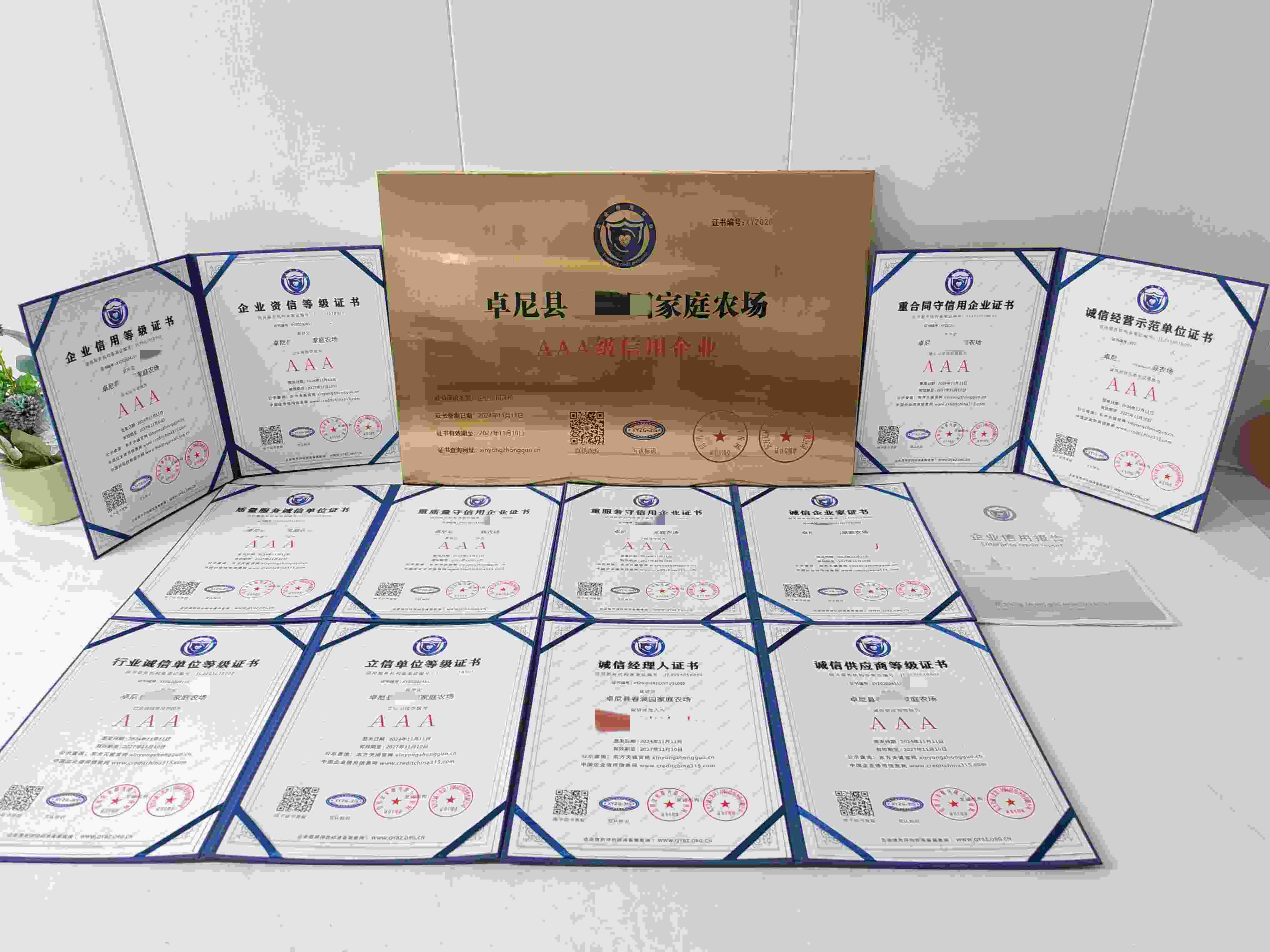 卓尼县春满园家庭农场.jpg