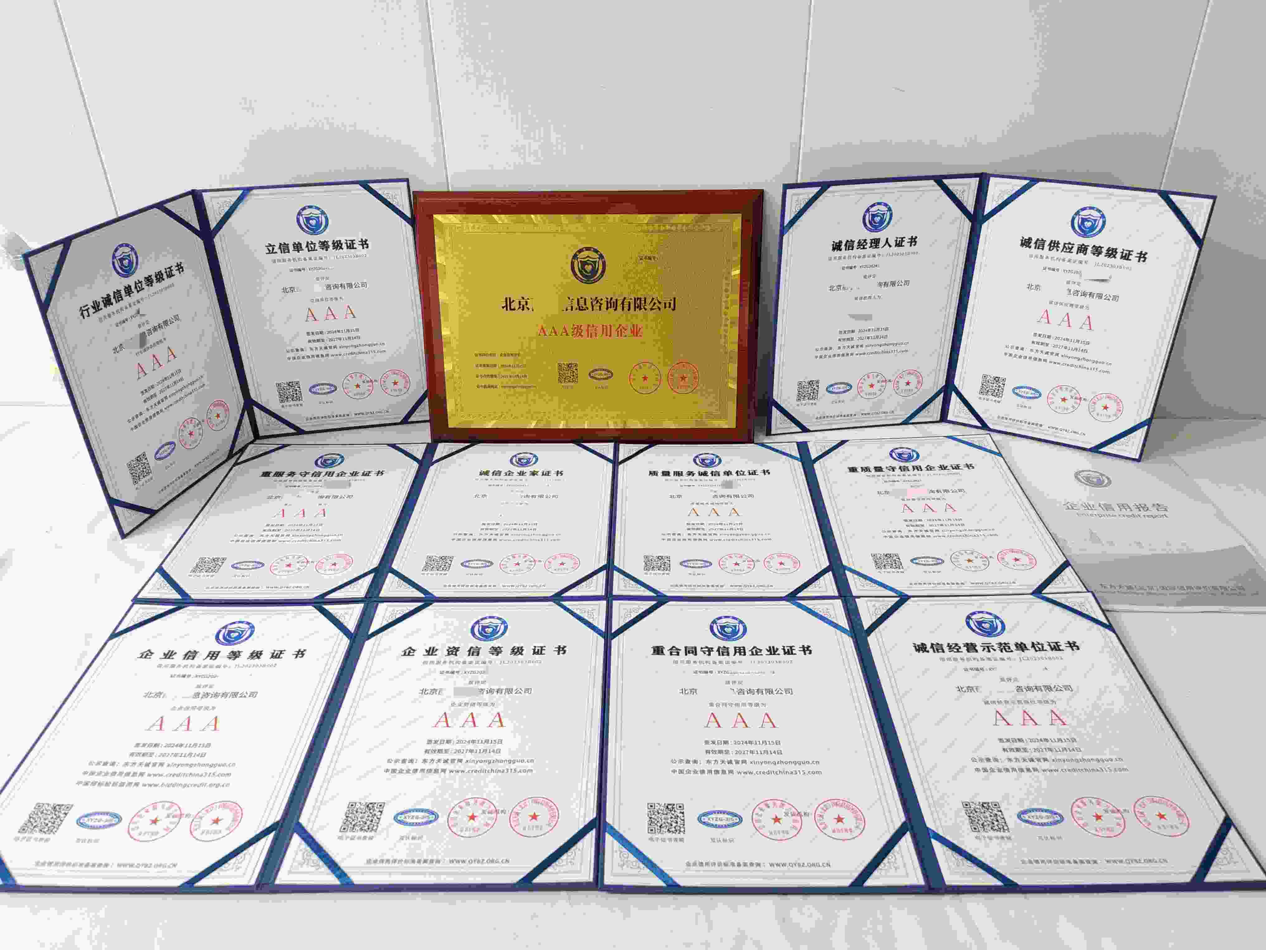 北京丽宇信息咨询有限公司.jpg