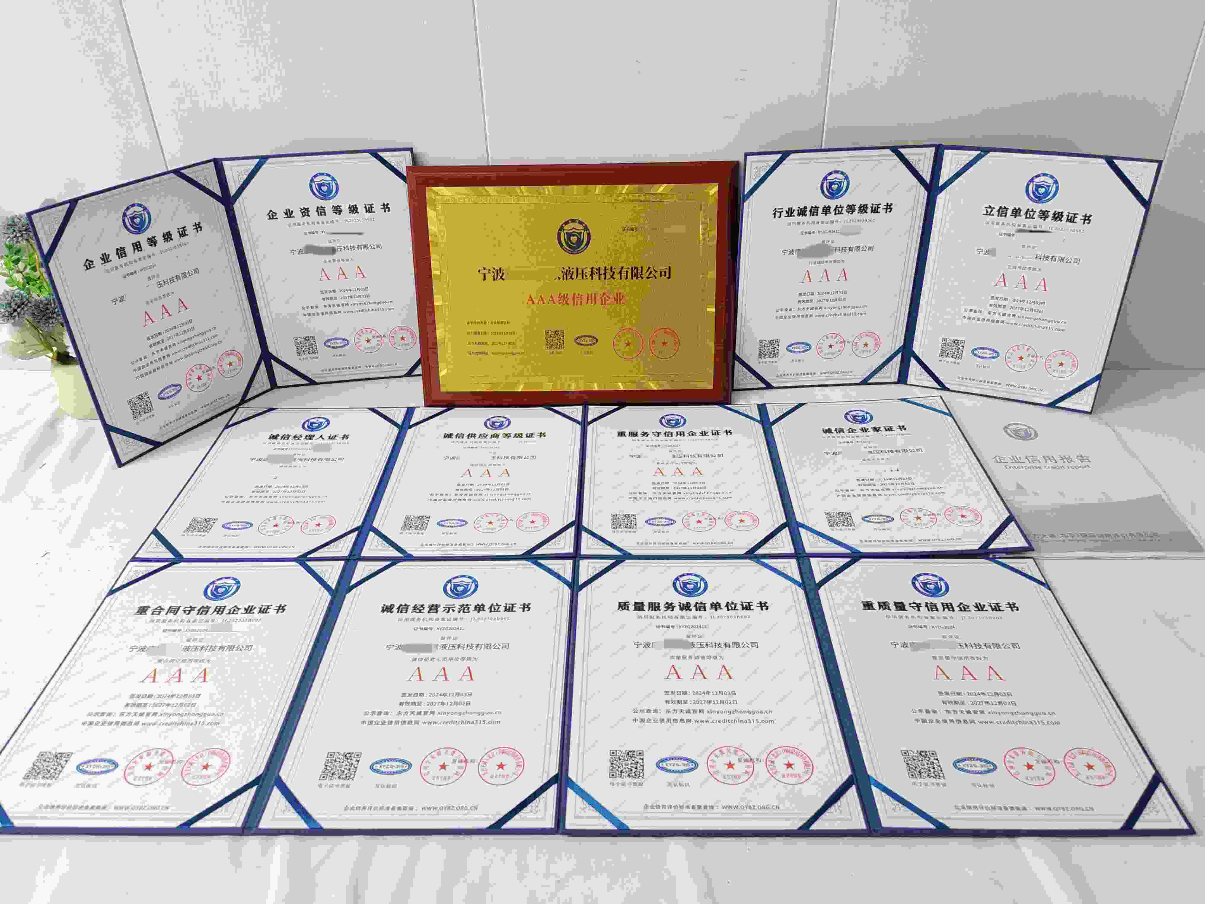 宁波康纳诺派液压科技有限公司.jpg