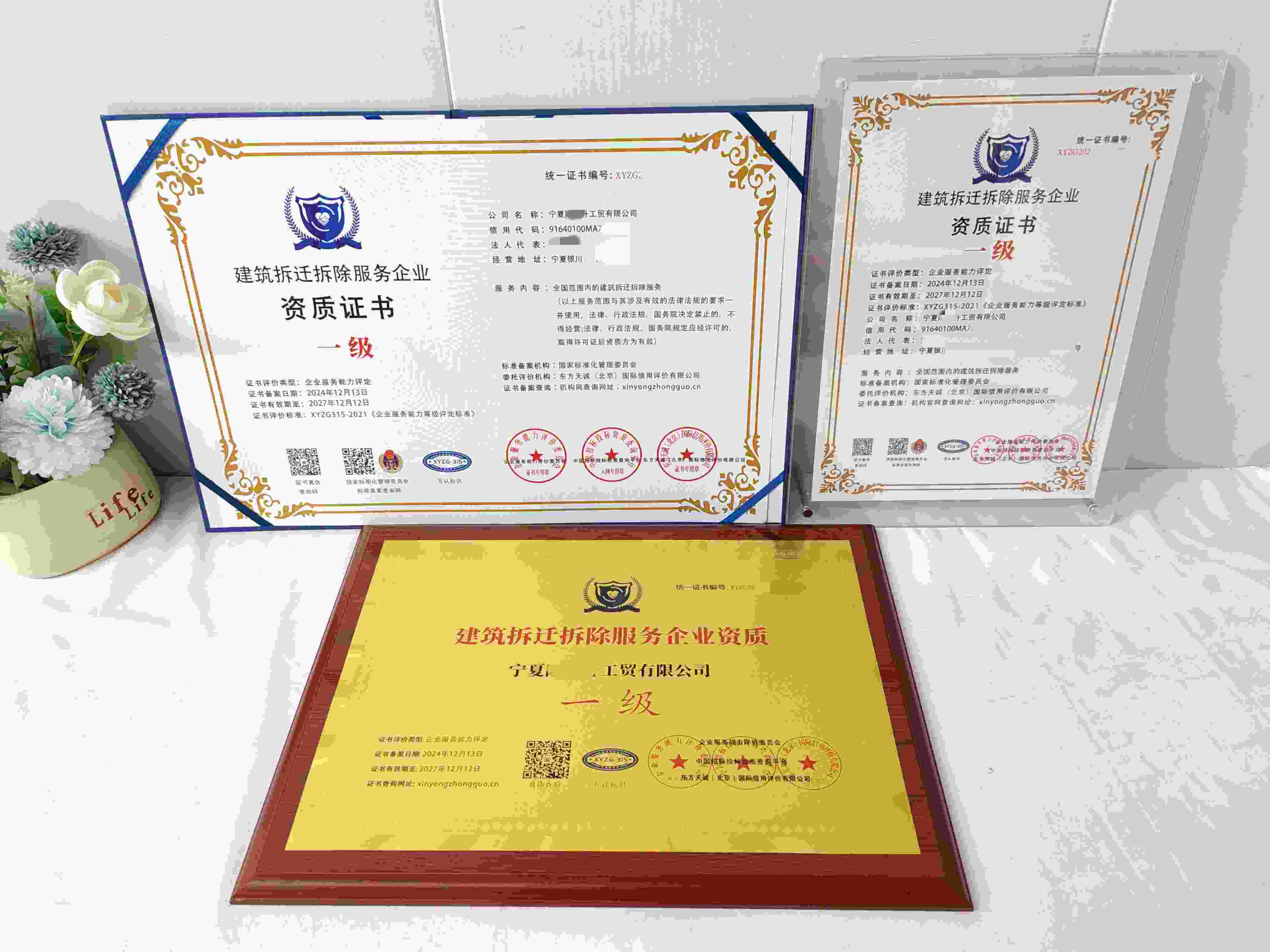宁夏隆恒升工贸有限公司-建筑拆迁拆除服务企业资质.jpg