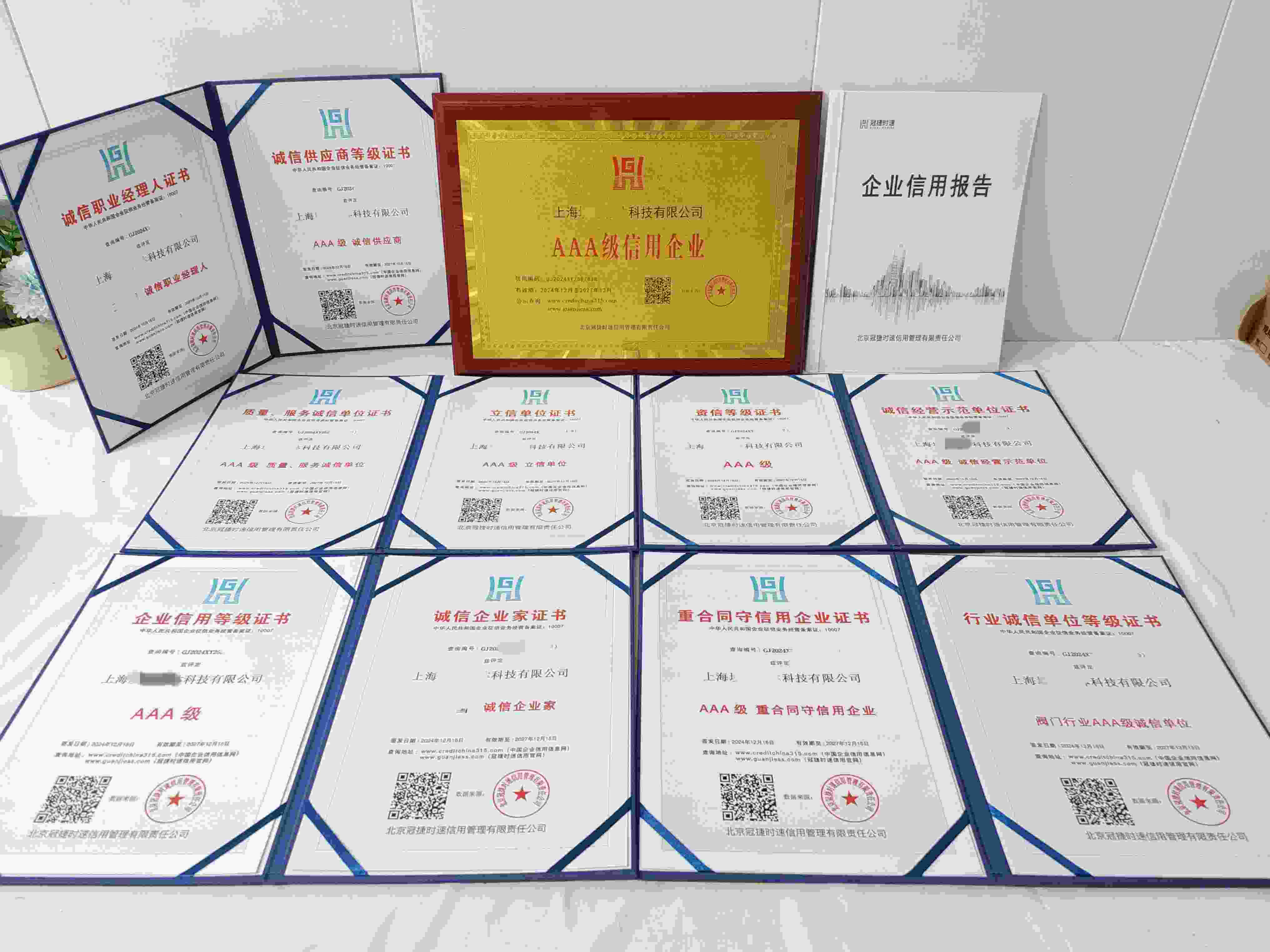 上海埃峰流体科技有限公司.jpg