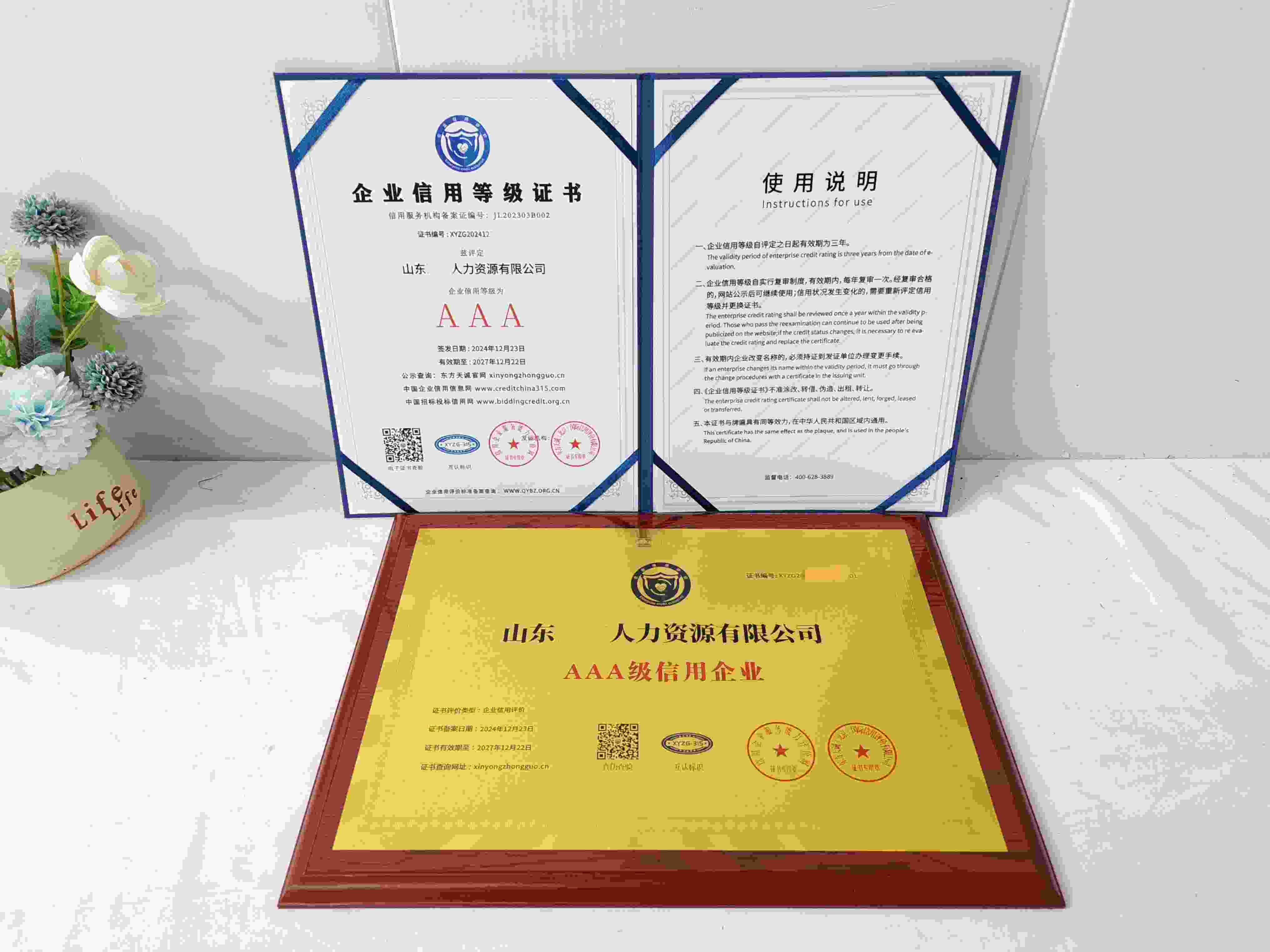 山东泽丰人力资源有限公司.jpg