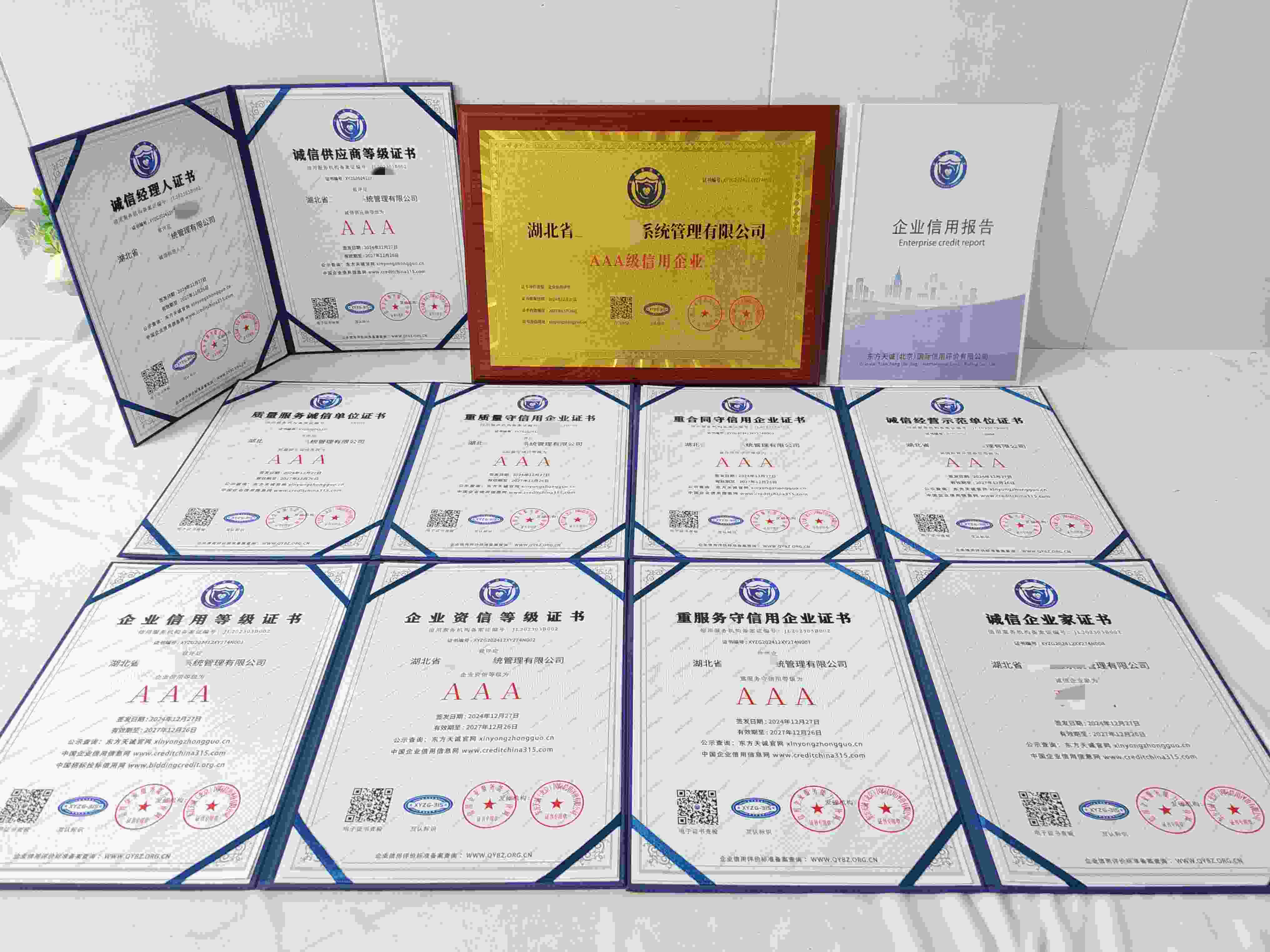 湖北省三实信息系统管理有限公司.jpg