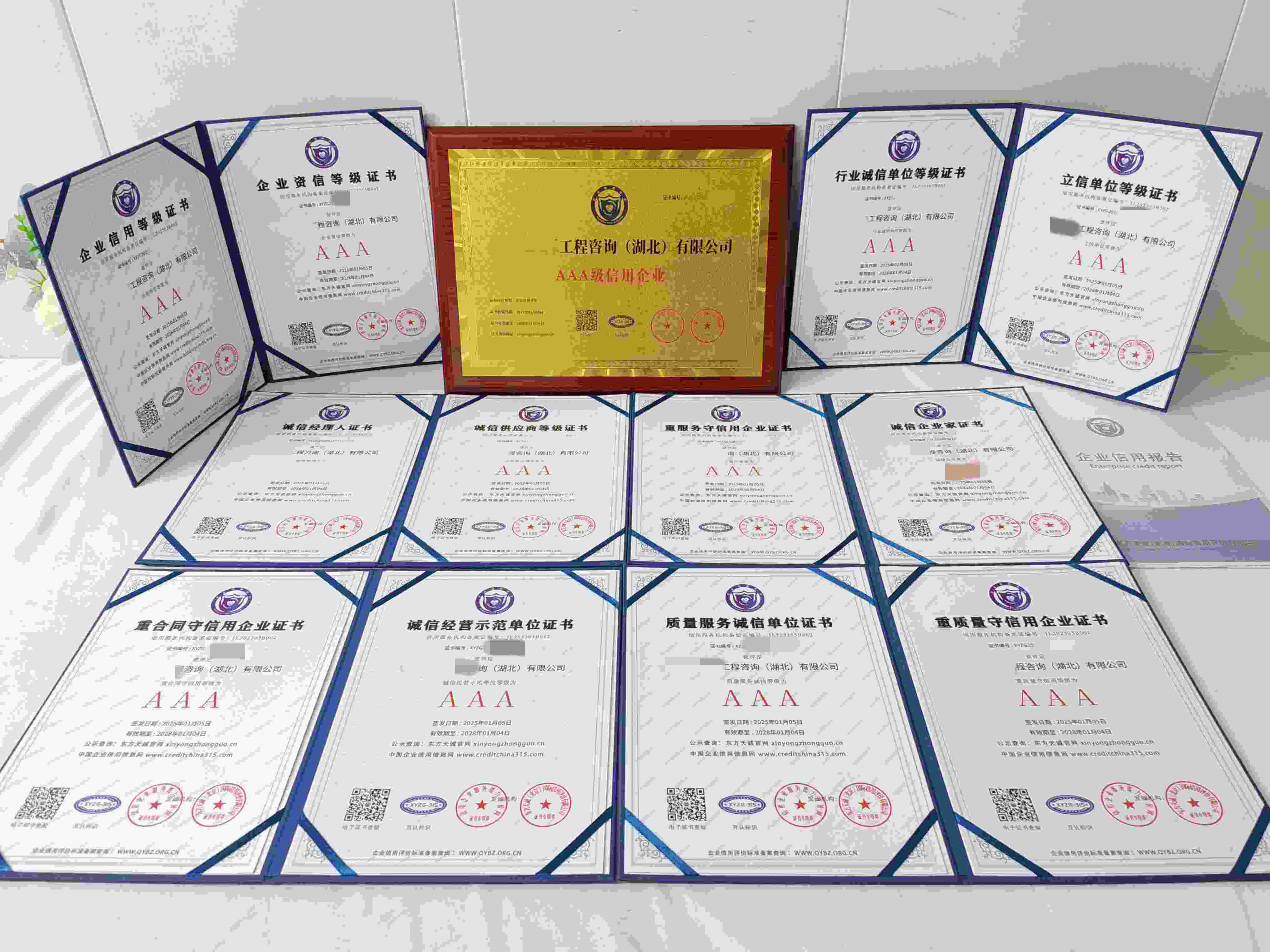 华尔兹国际工程咨询(湖北)有限公司.jpg