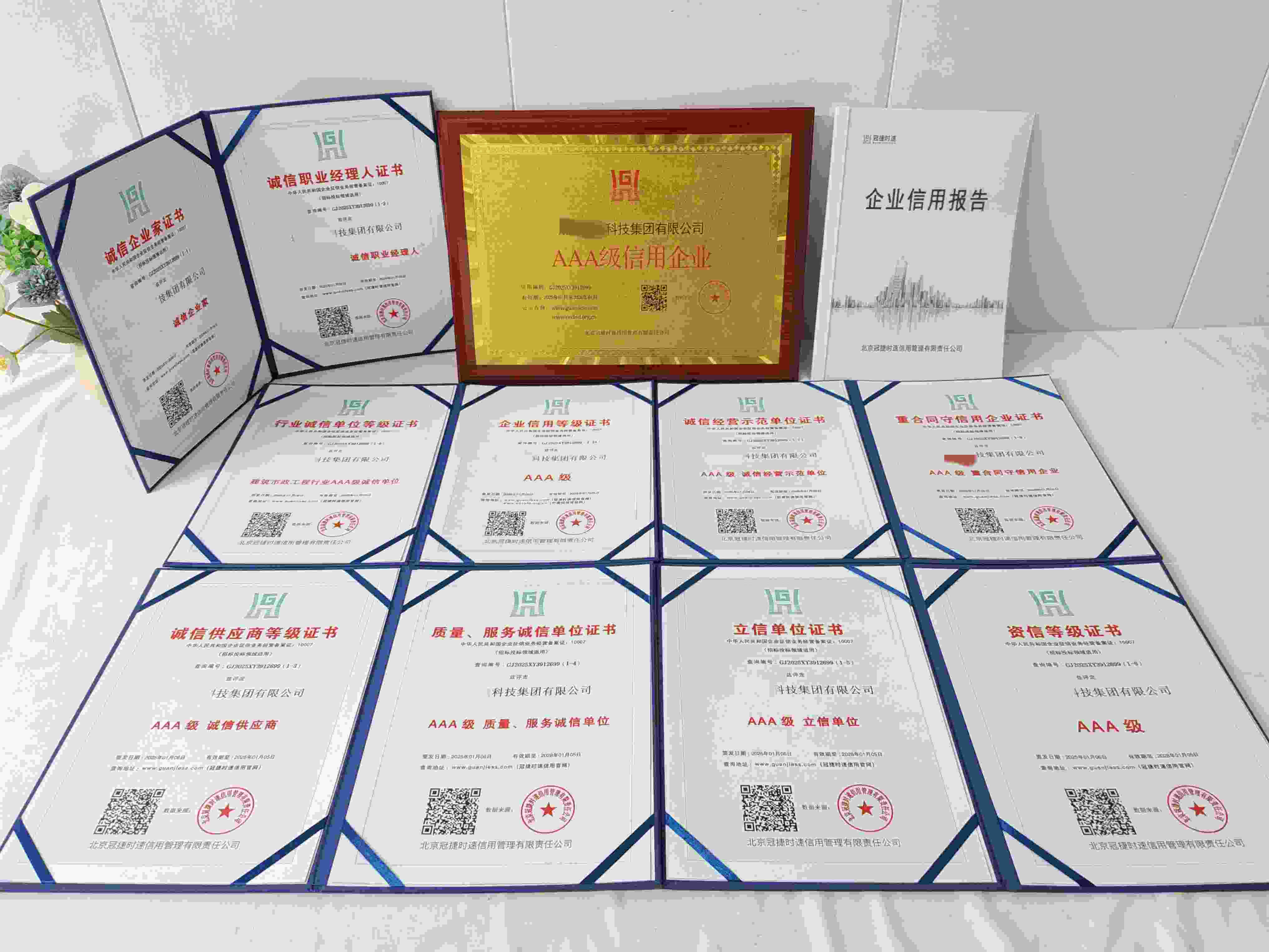 城排环境科技集团有限公司.jpg