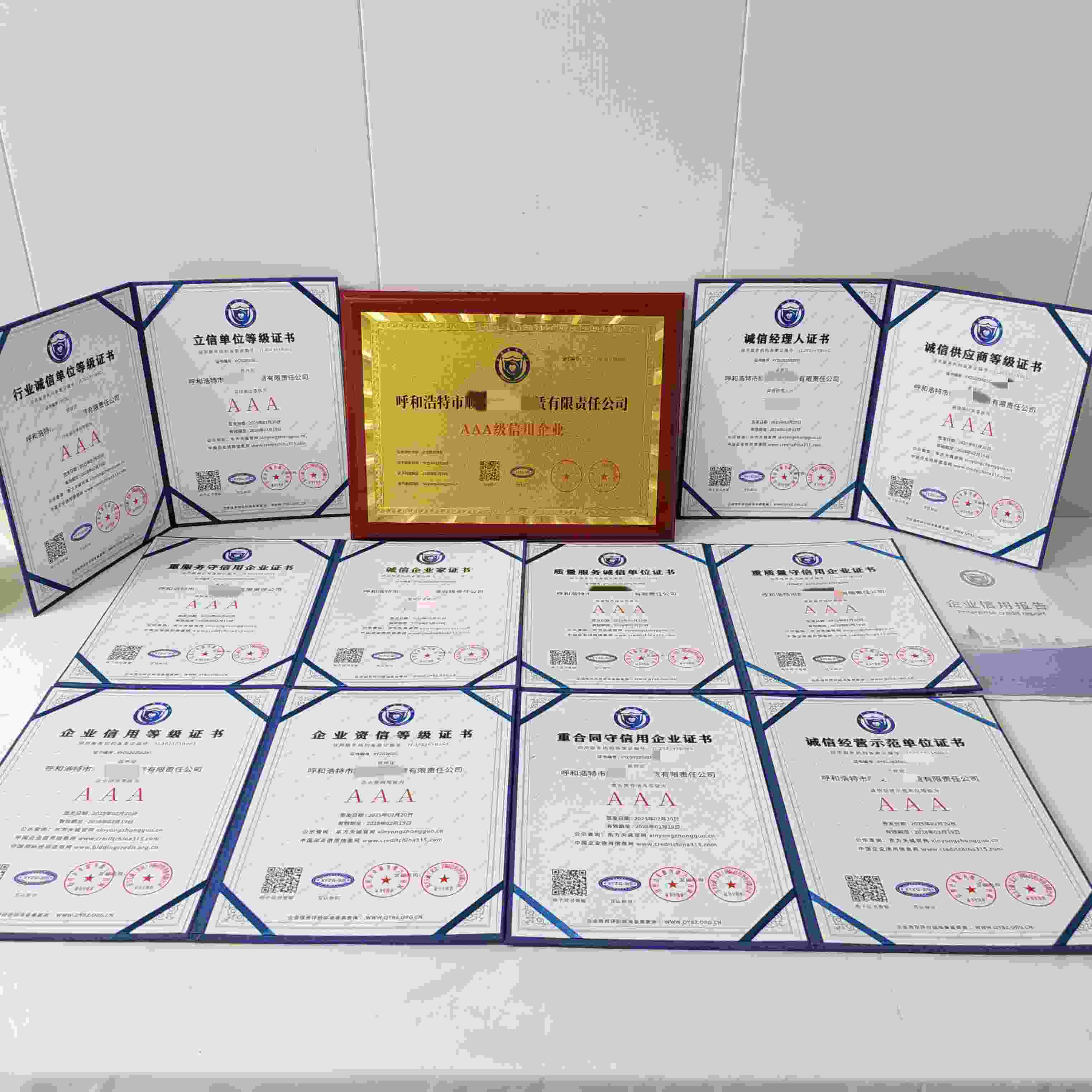 呼和浩特市顺友汽车租赁有限责任公司.jpg