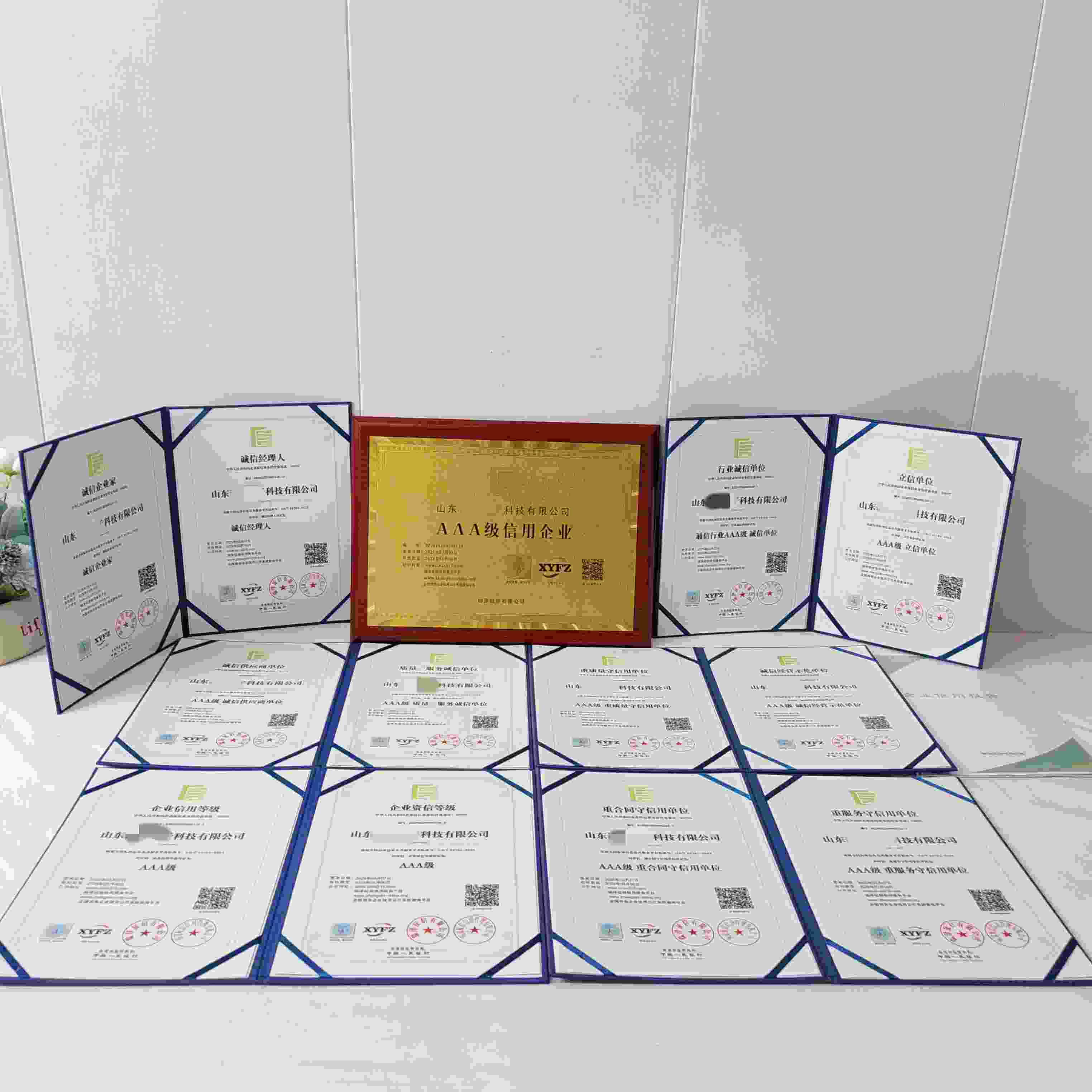 山东谦和电子科技有限公司.jpg