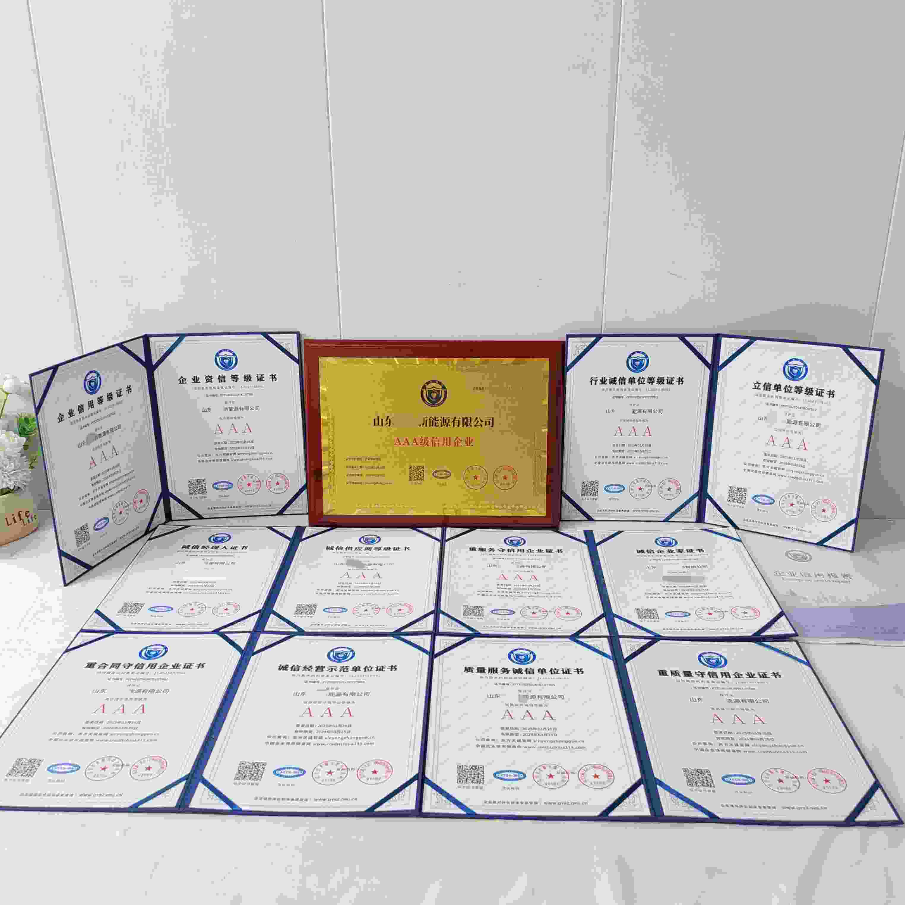 山东速久新能源有限公司.jpg