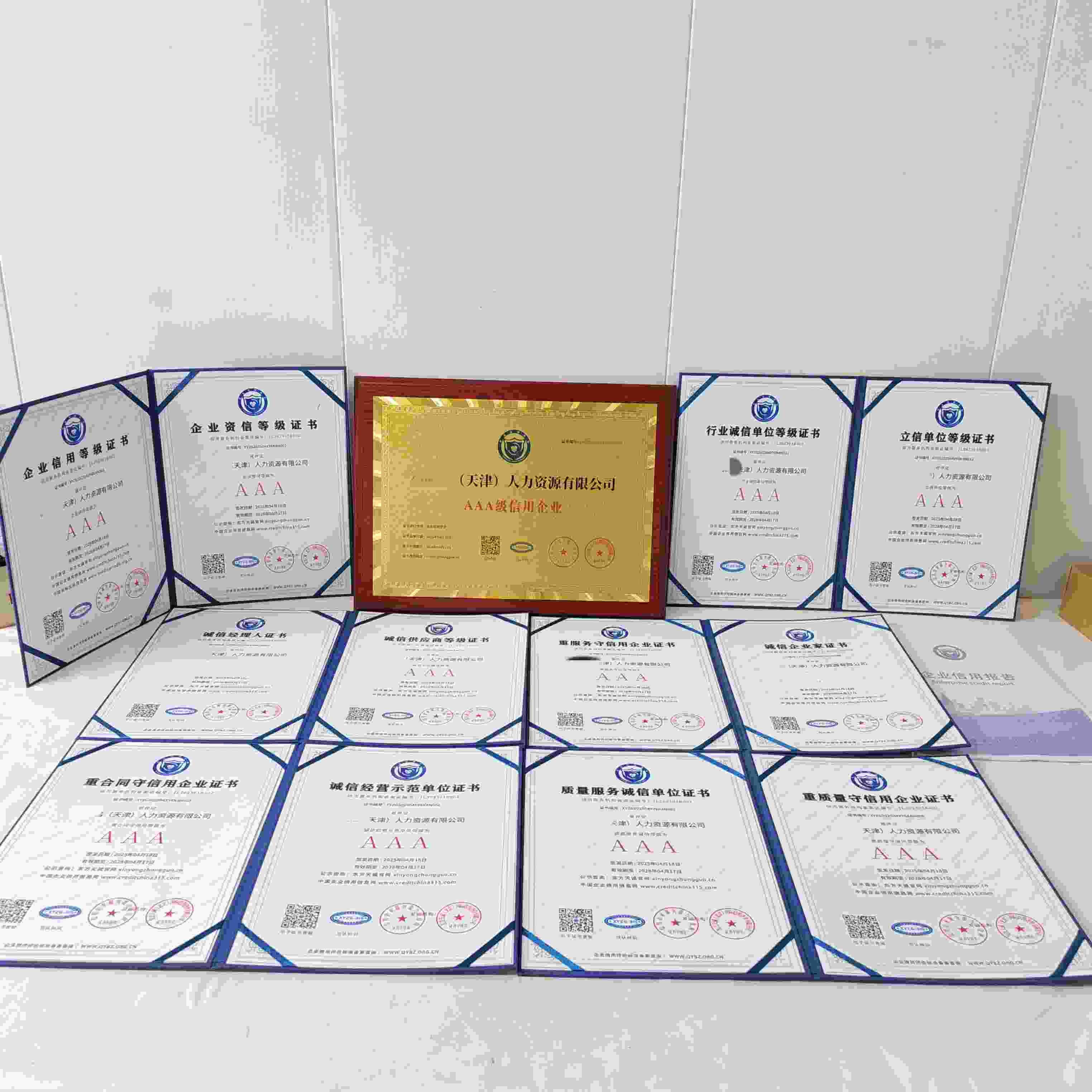 福园昌(天津)人力资源有限公司.jpg