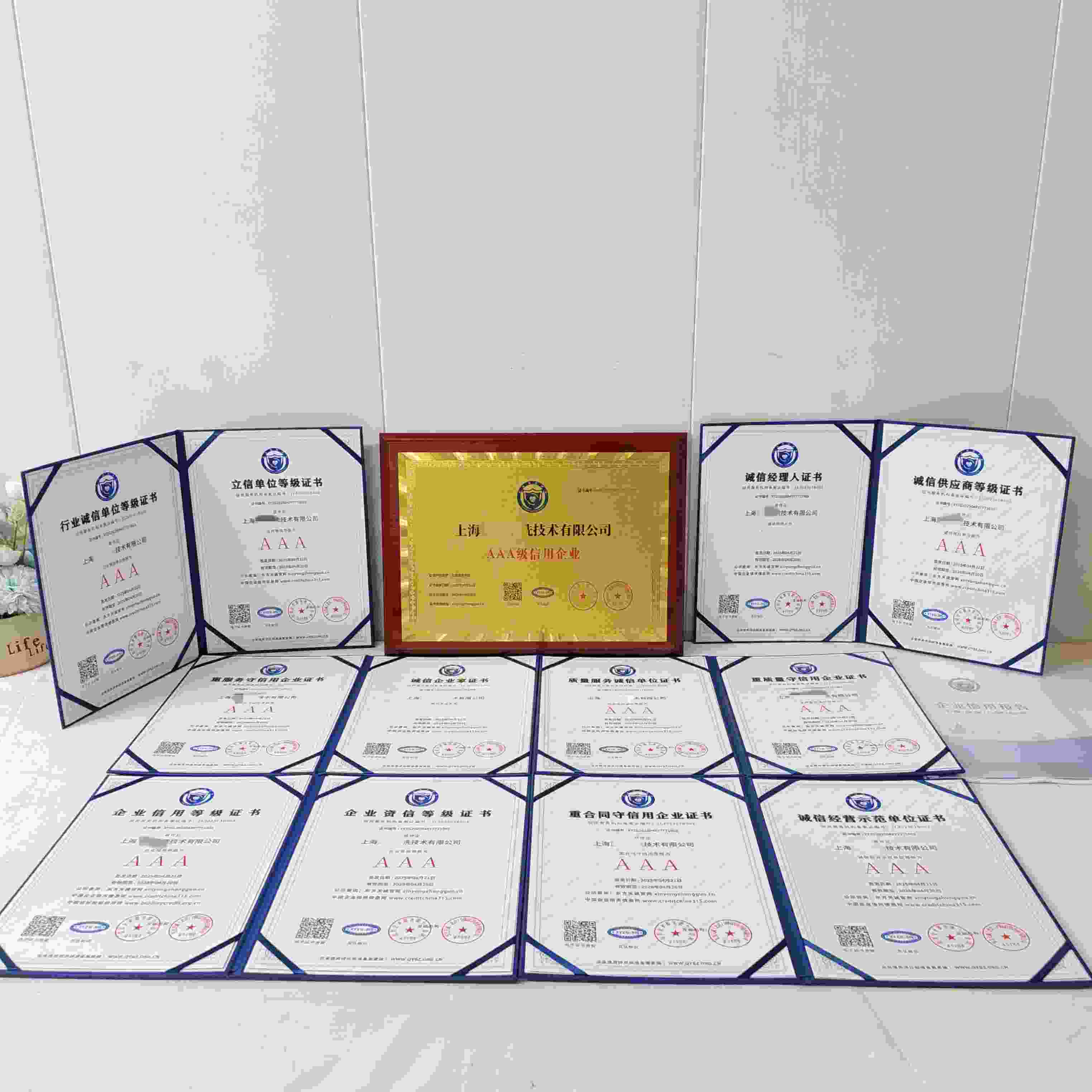 上海蓝浦清洗技术有限公司.jpg