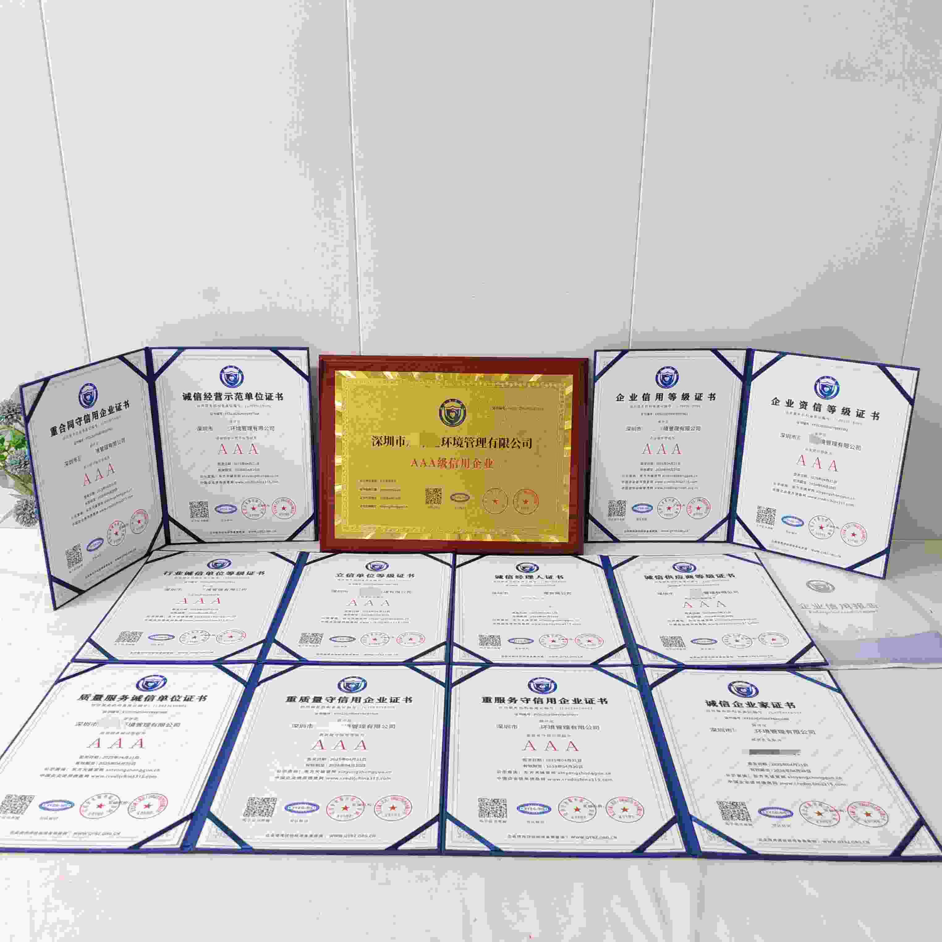 深圳市辰阳达环境管理有限公司.jpg
