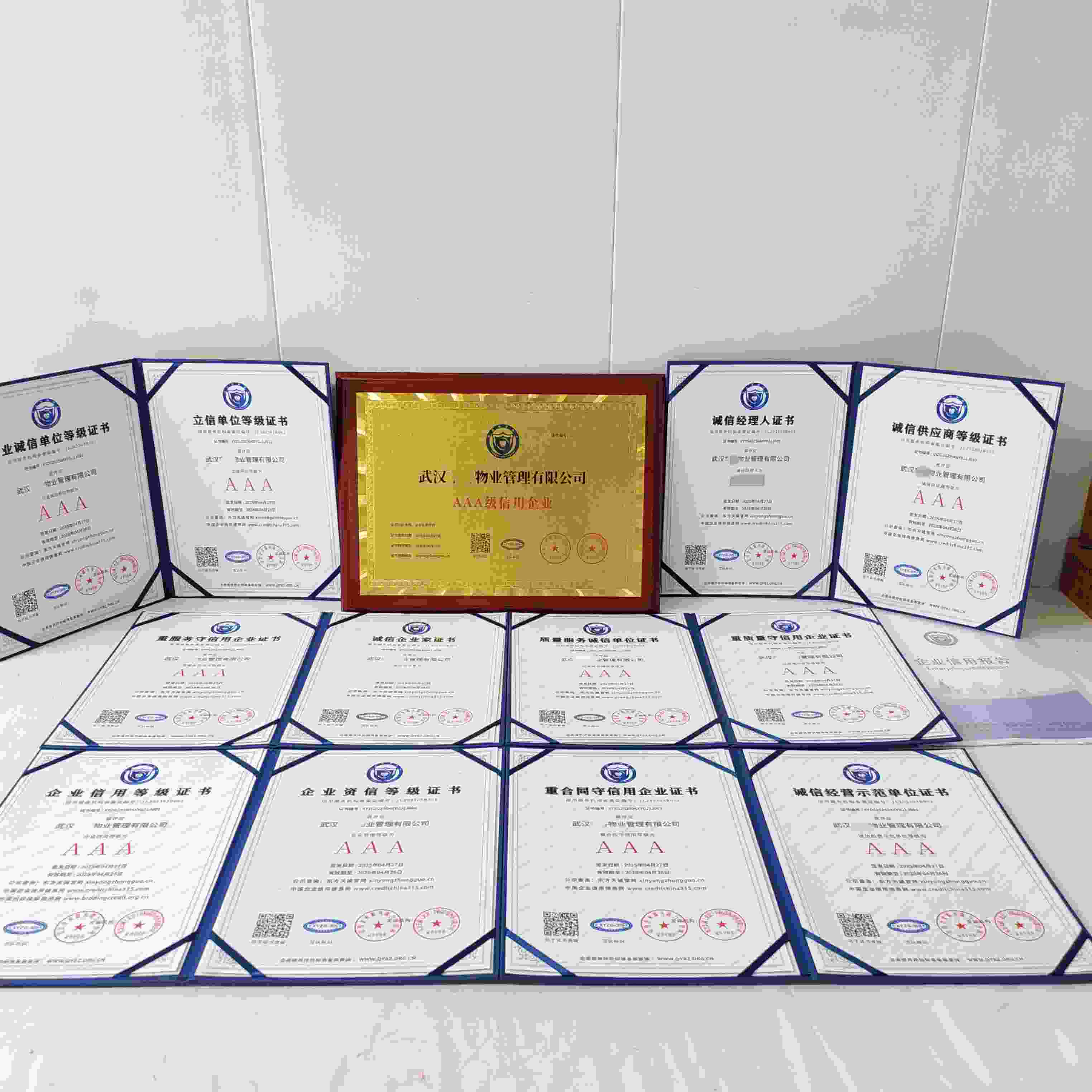 武汉车谷物业管理有限公司.jpg