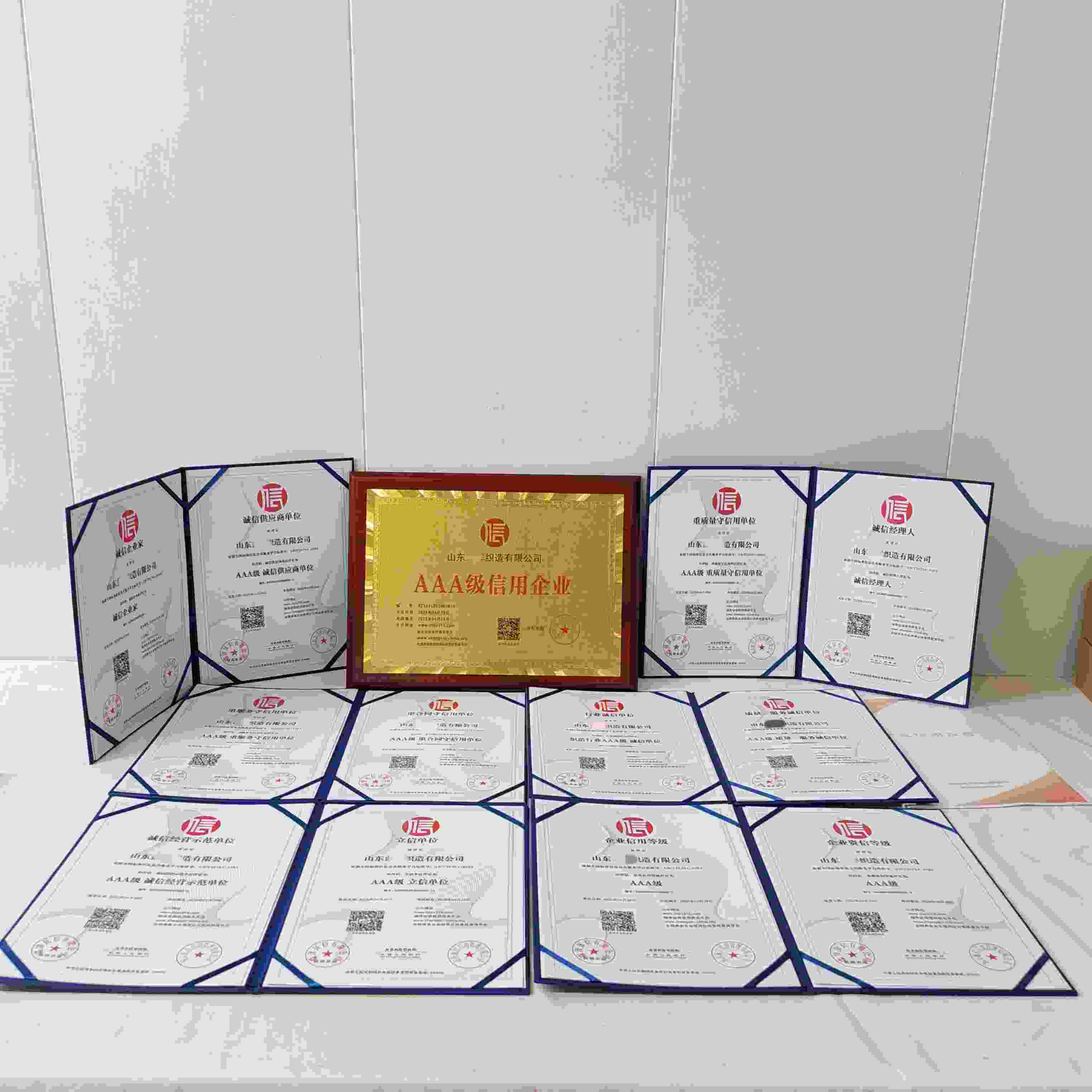 山东蓝洋织造有限公司.jpg