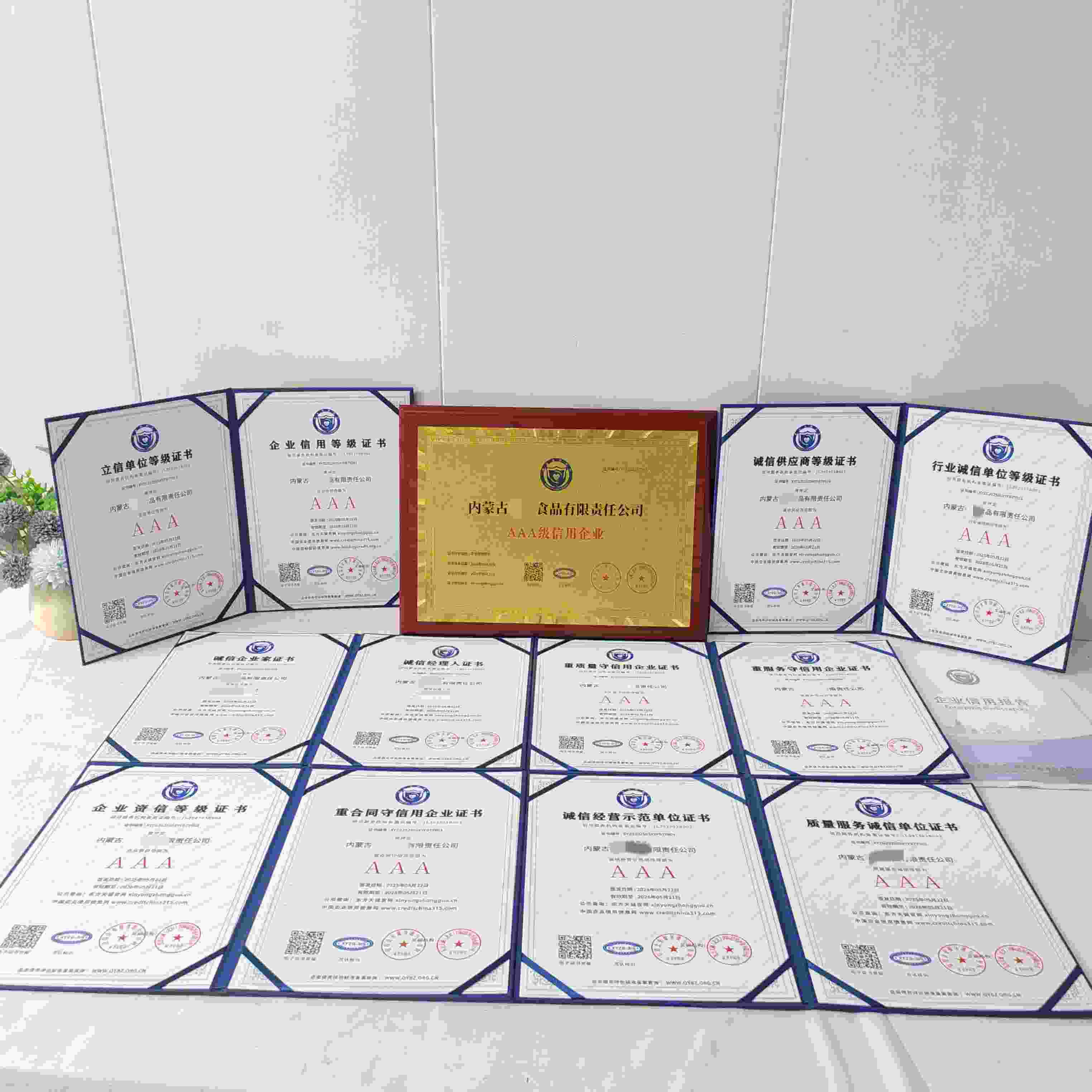 内蒙古全君食品有限责任公司.jpg