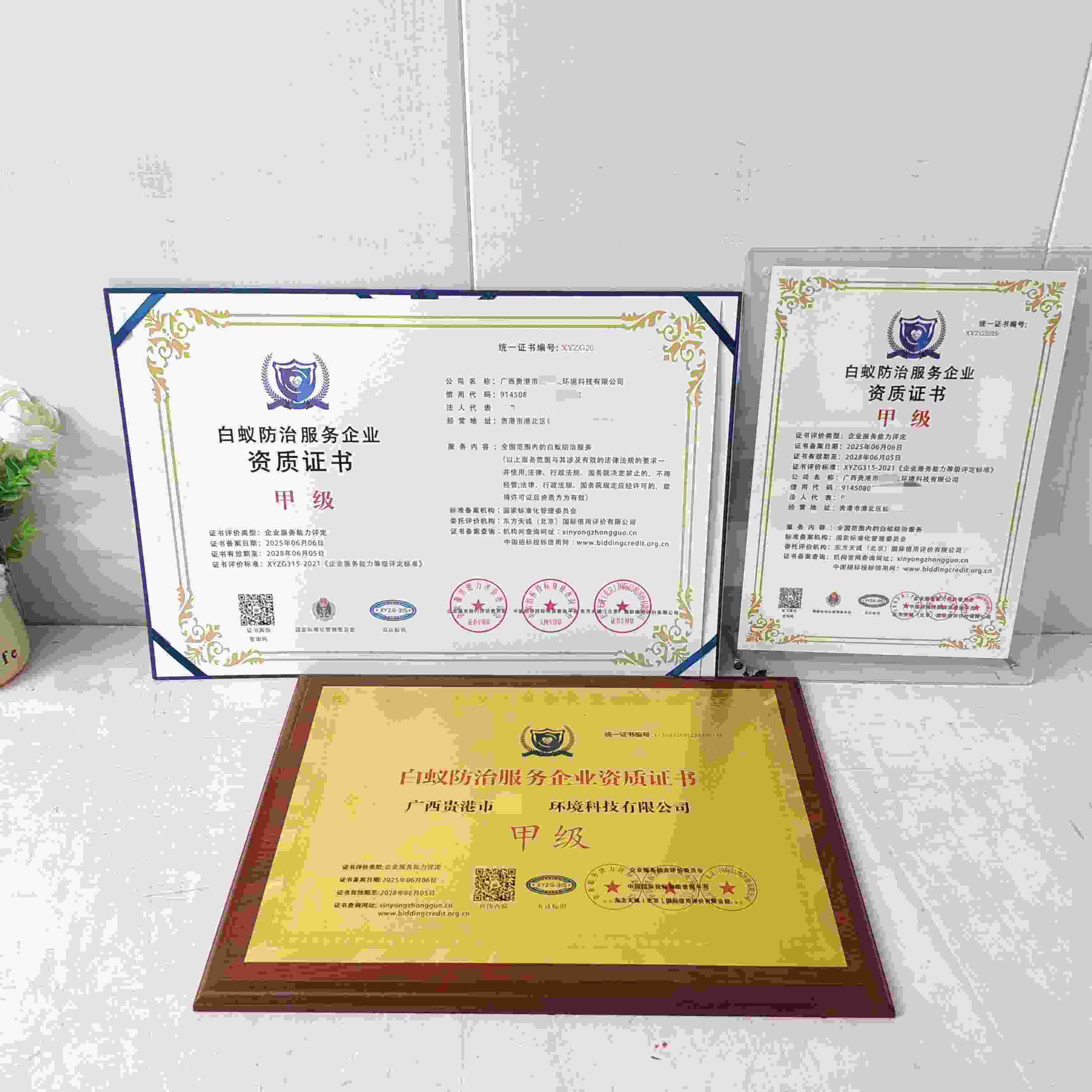 广西贵港市清道夫环境科技有限公司-白蚁防治服务企业资质证书.jpg