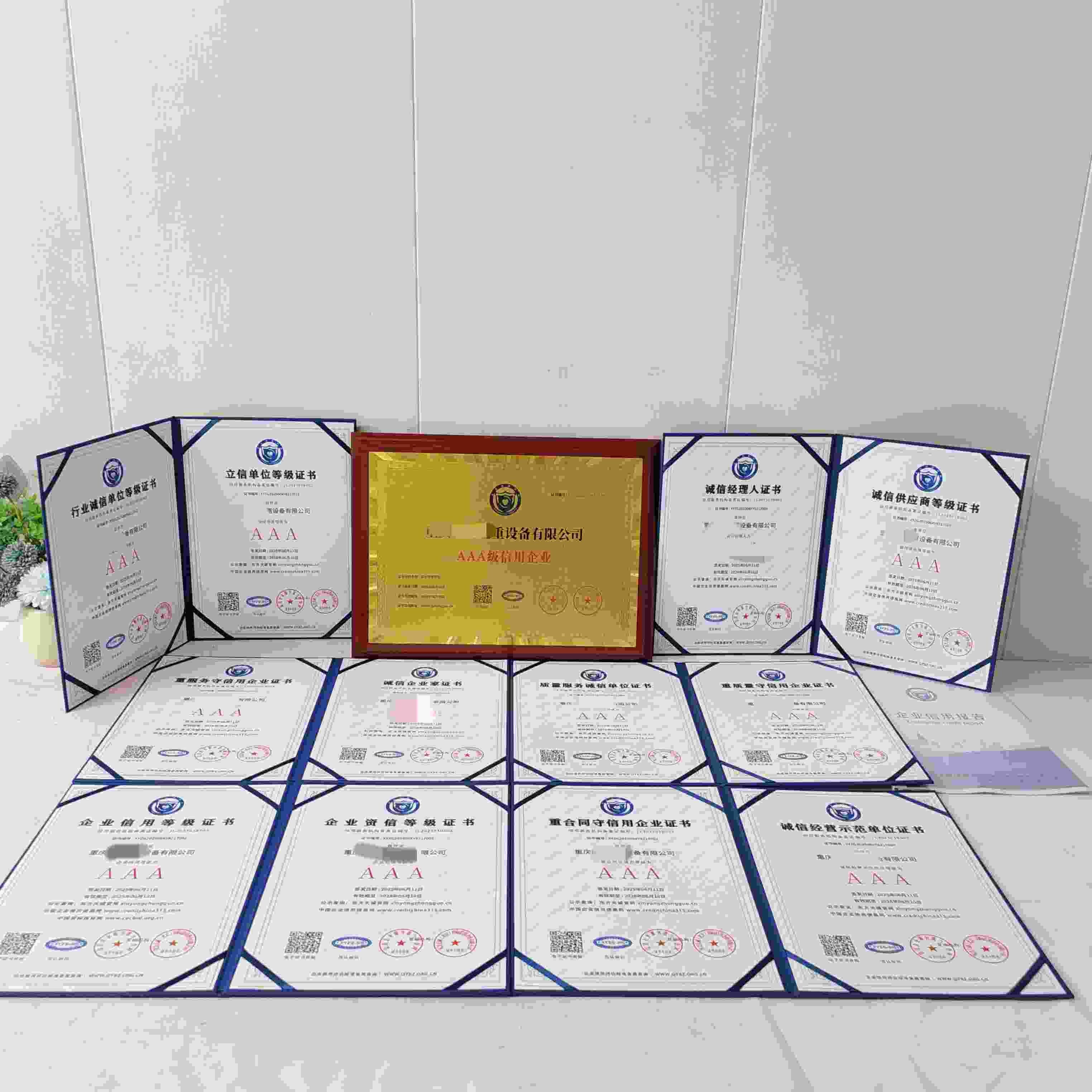 重庆睦道起重设备有限公司.jpg
