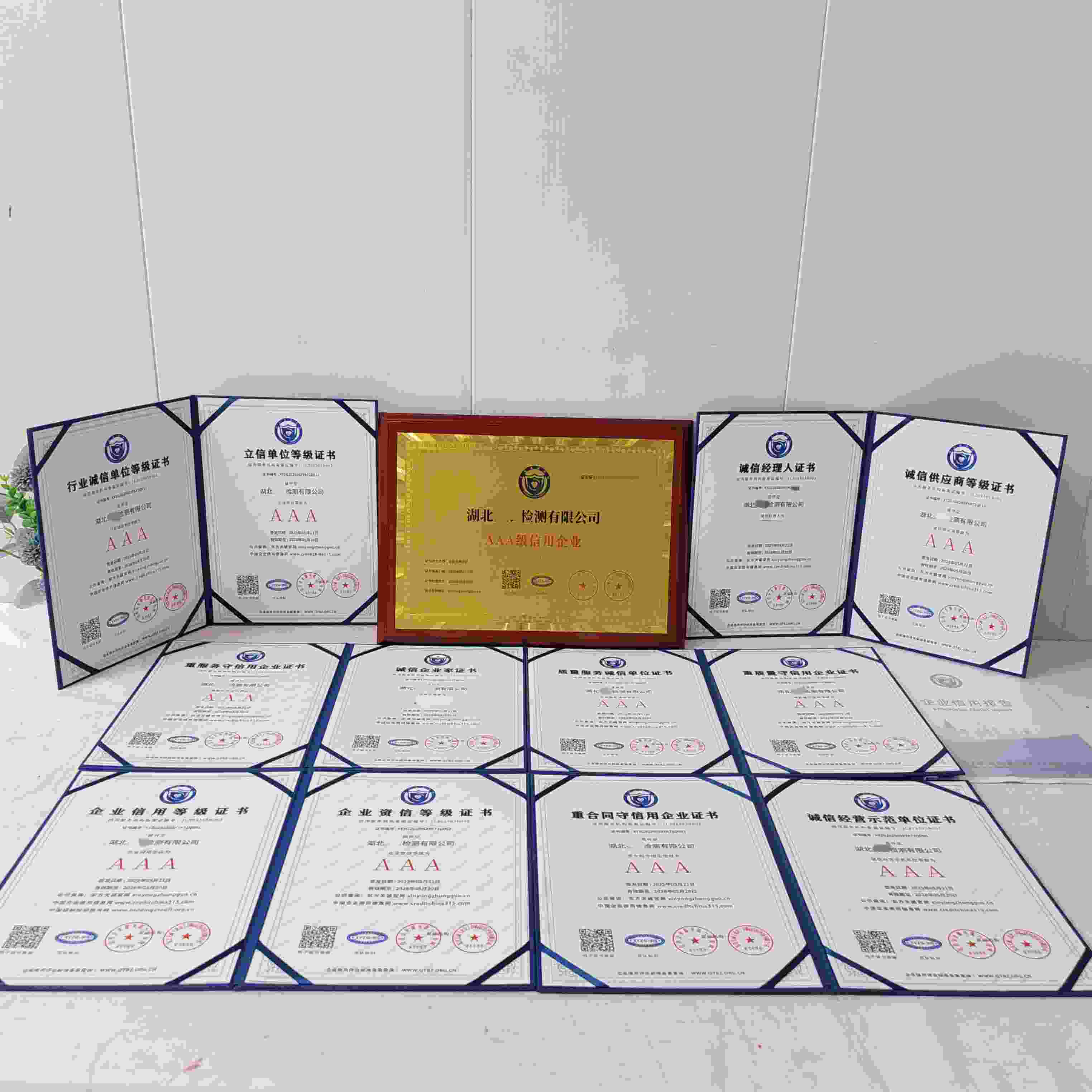 湖北美辰检测有限公司.jpg