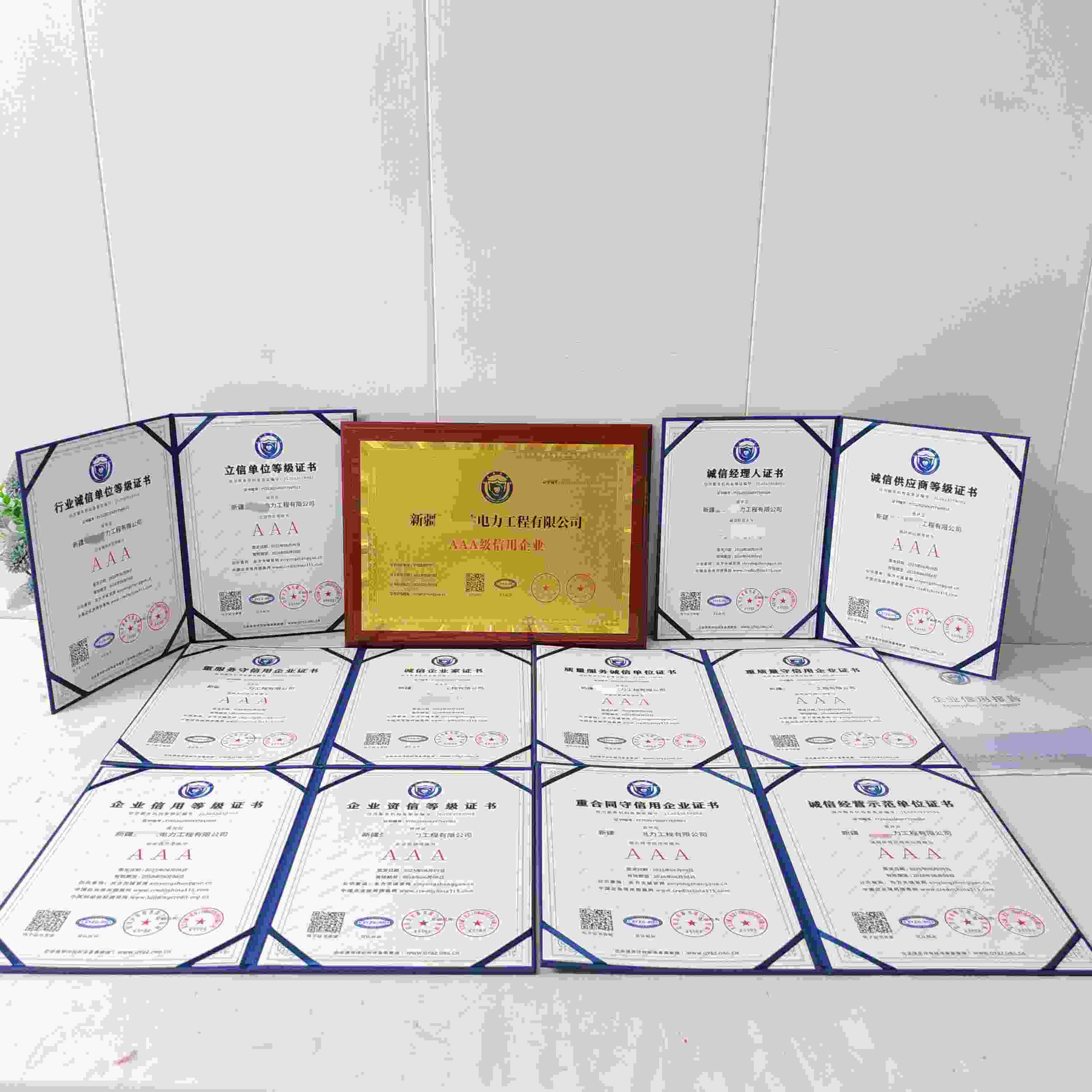 新疆圣卓达电力工程有限公司.jpg